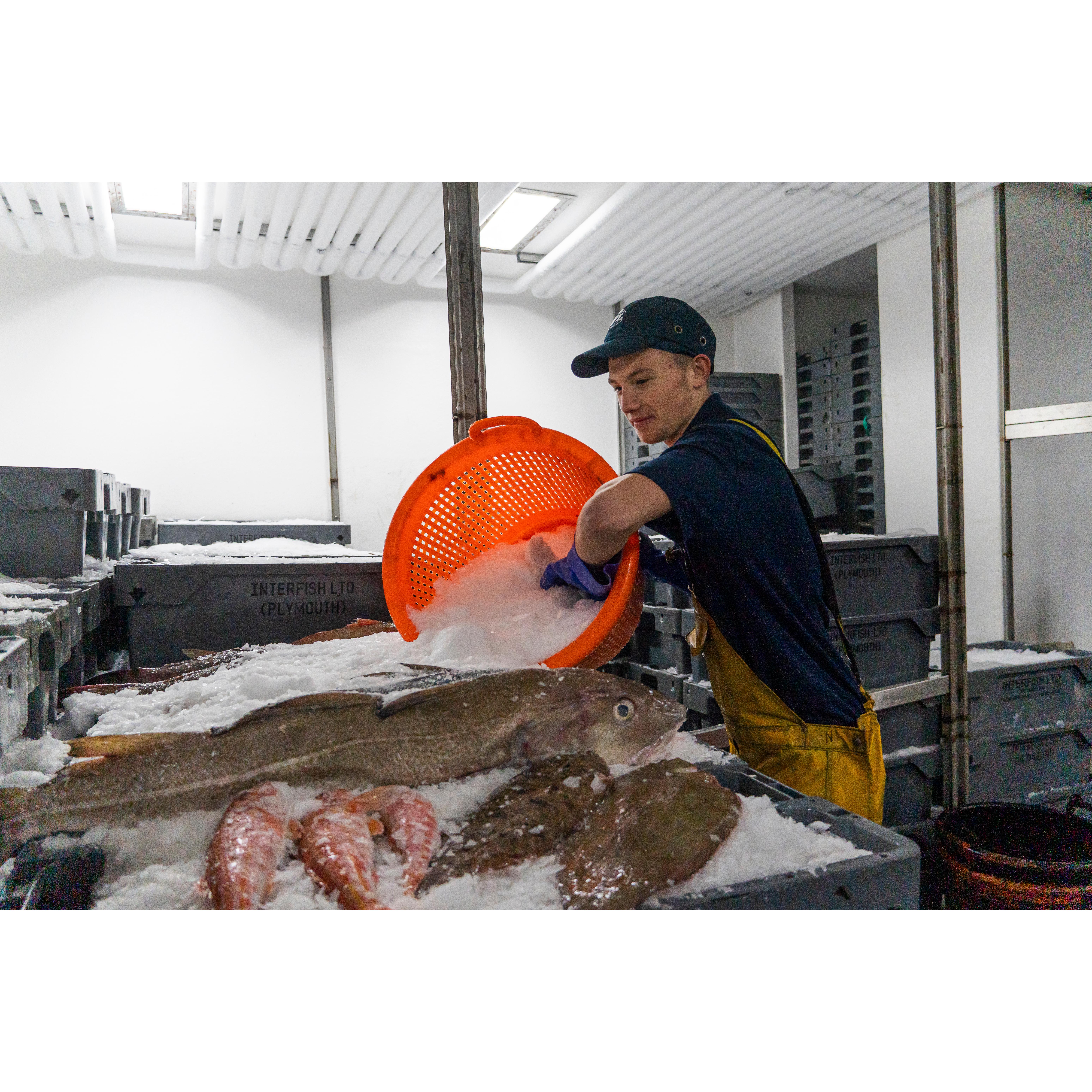 Sound Seafood Whole Mackerel (Approx. 350g) thumbnail 3