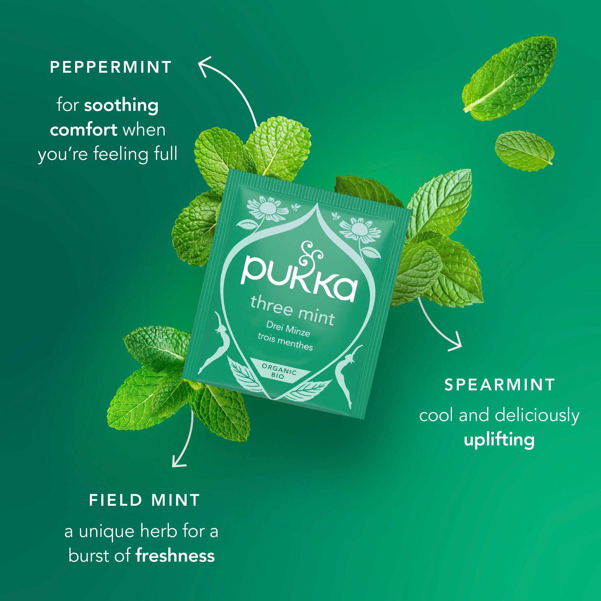 Pukka Organic Three Mint Home Compostable Herbal Tea Bags x40 64g thumbnail 3
