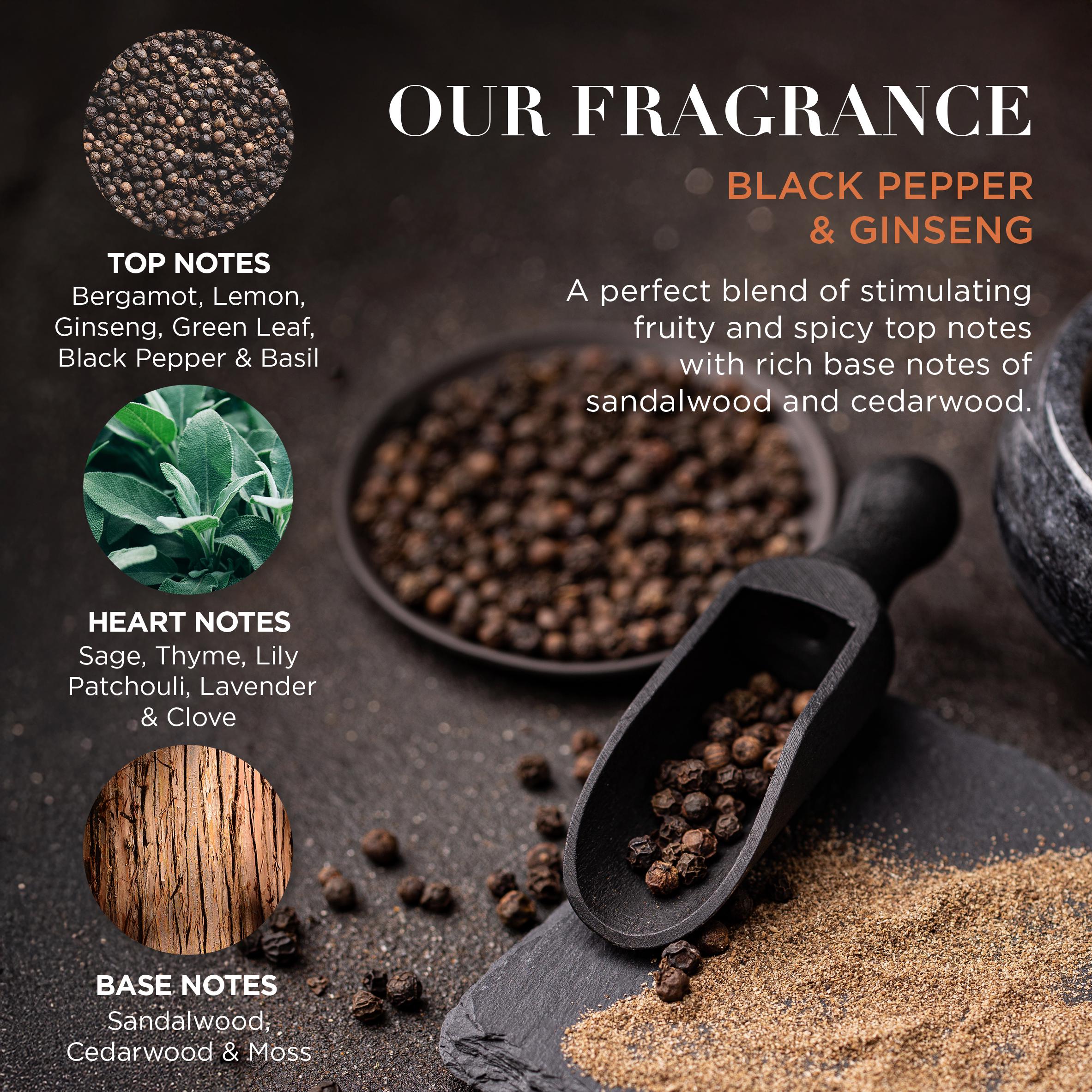 Baylis & Harding Black Pepper & Ginseng Men's Luxury Mini Trio Gift Set thumbnail 4