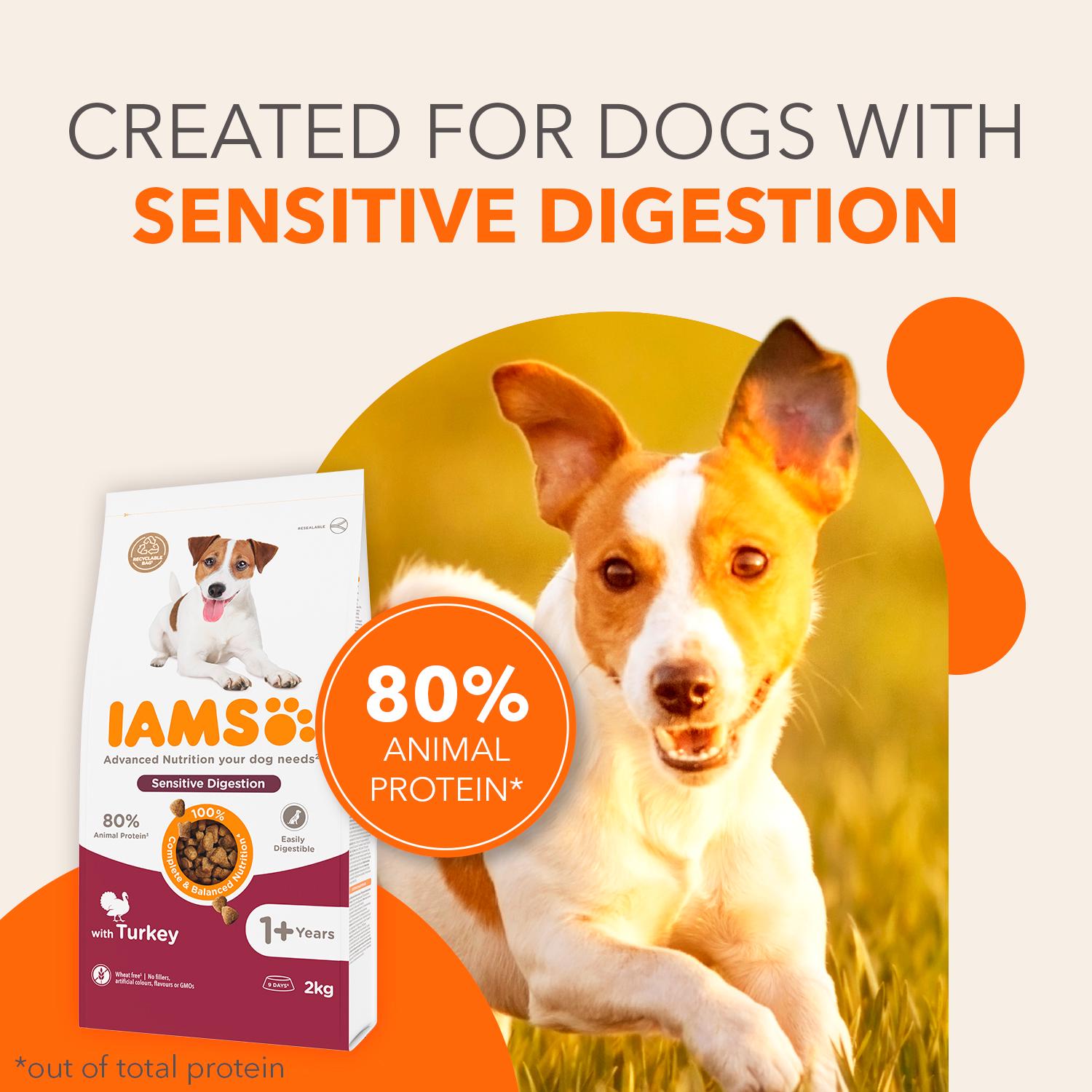IAMS Sensitive Digestion with Turkey Dog Food 1+ Years 2kg thumbnail 2