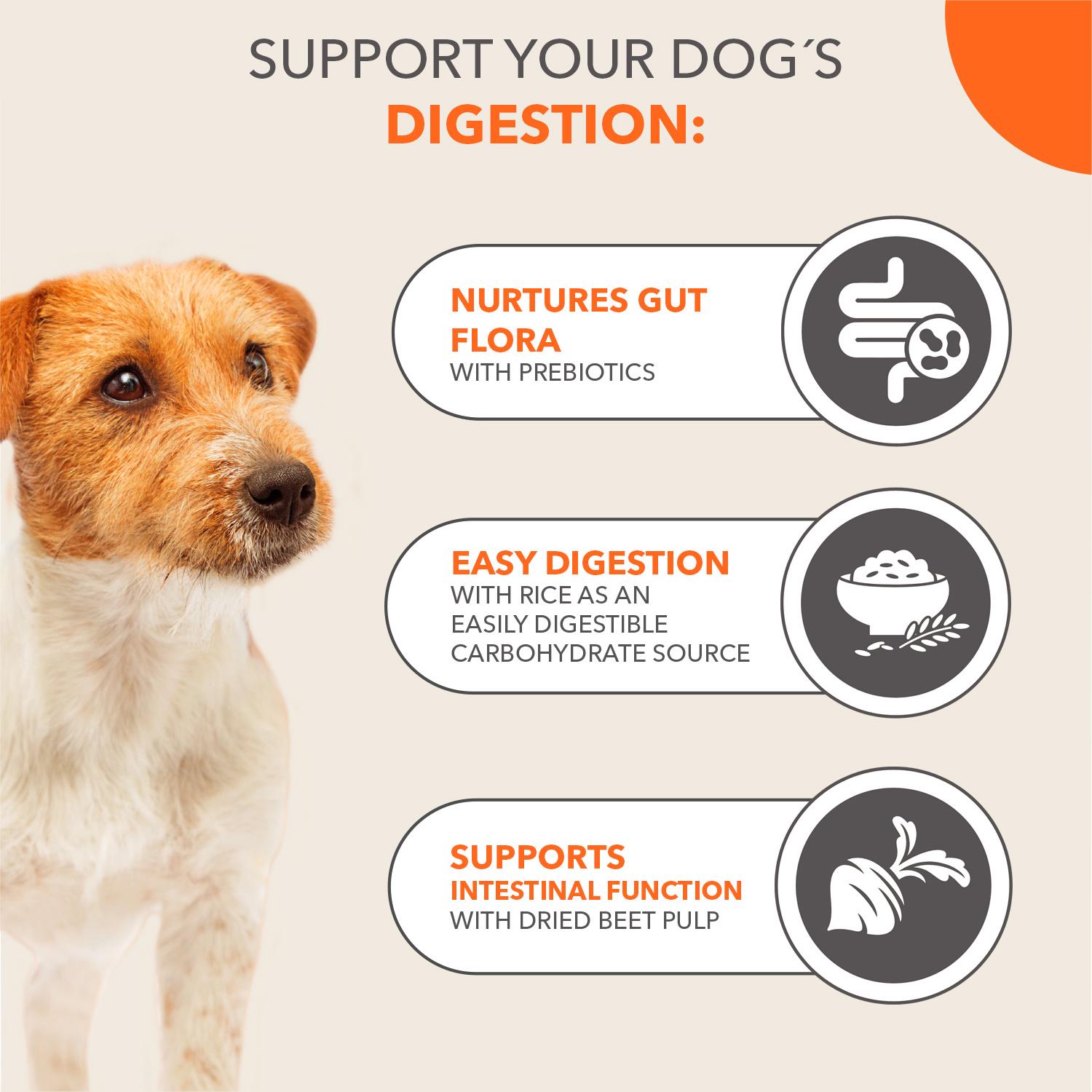IAMS Sensitive Digestion with Turkey Dog Food 1+ Years 2kg thumbnail 3
