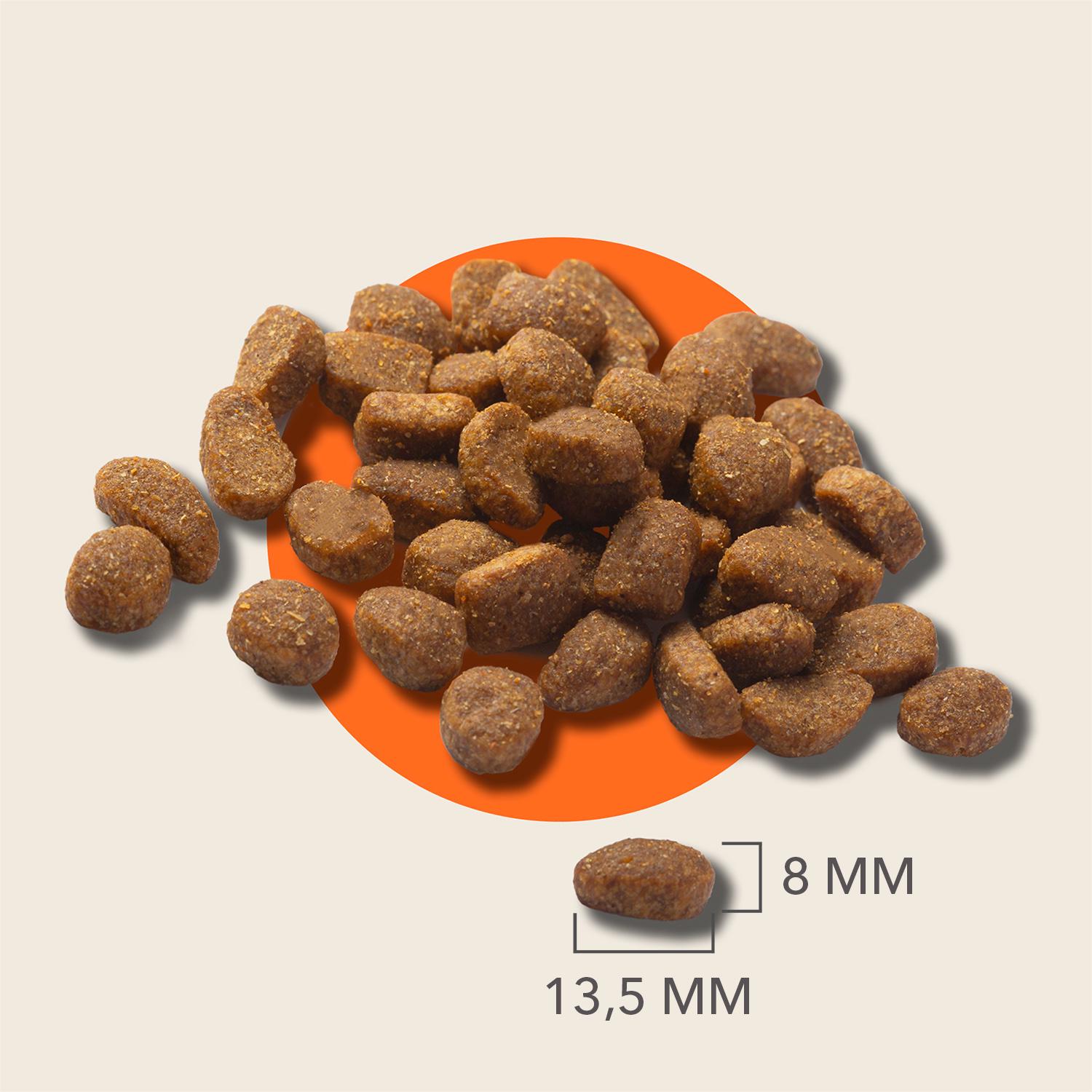 IAMS Sensitive Digestion with Turkey Dog Food 1+ Years 2kg thumbnail 4