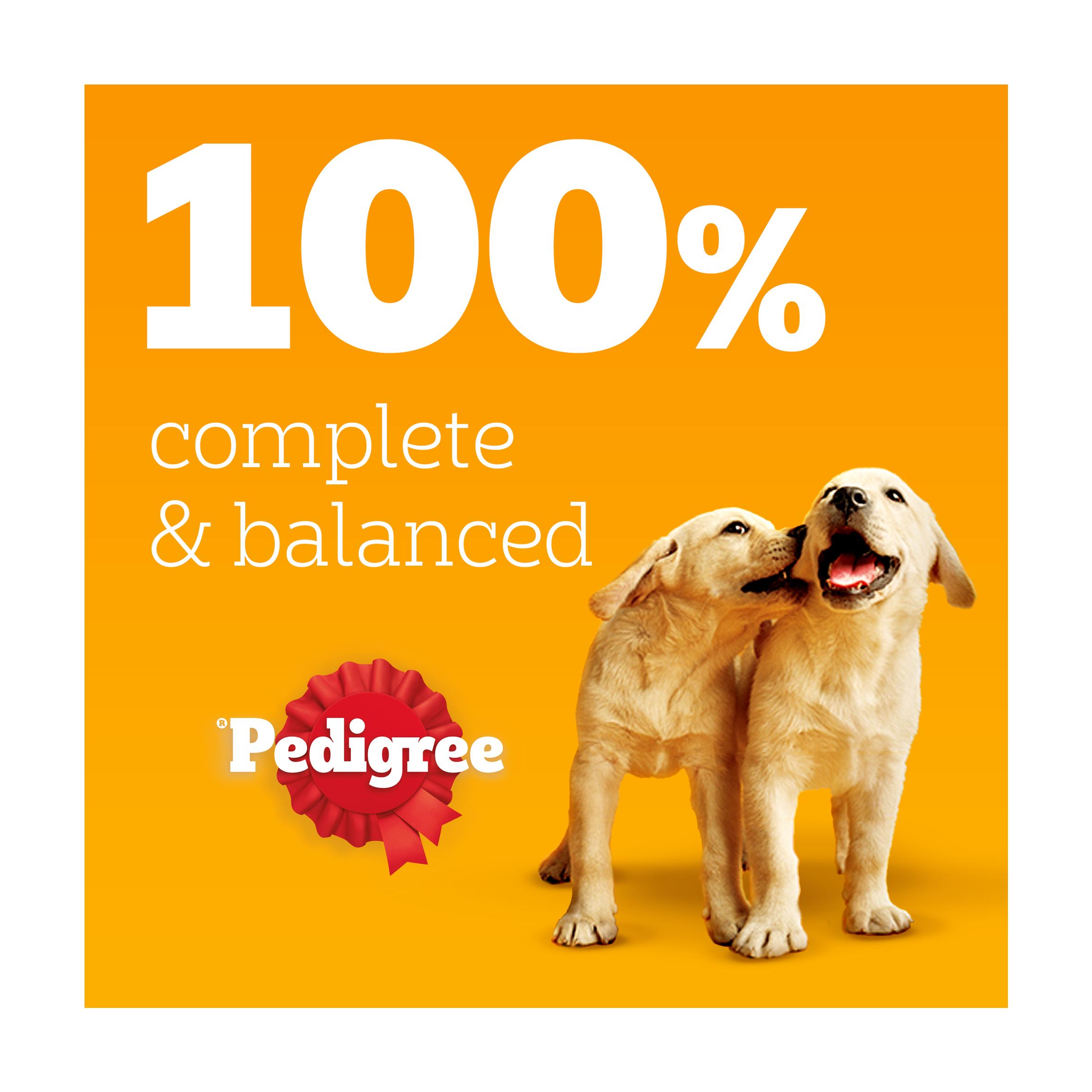 Pedigree Junior Puppy Wet Dog Food Mixed Selection in Jelly Cans 6 x 400g thumbnail 3