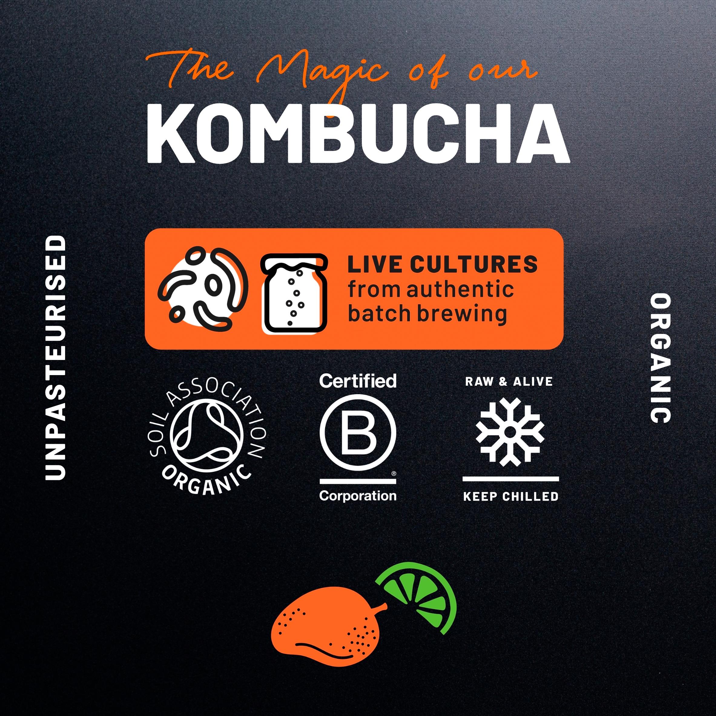 One Living Organic Kombucha Mango & Lime 330ml thumbnail 5