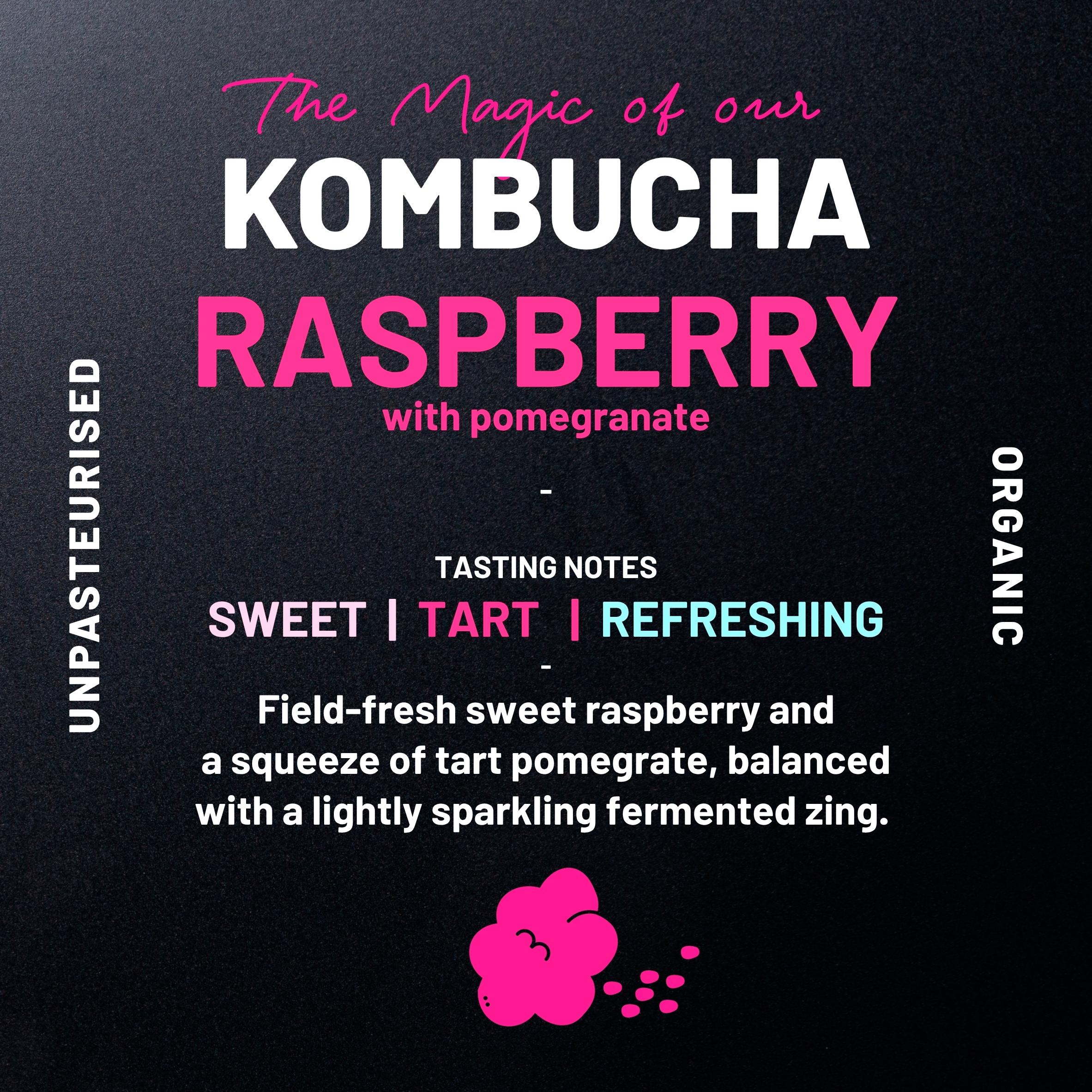 One Living Organic Kombucha Raspberry & Pomegranate 330ml thumbnail 3