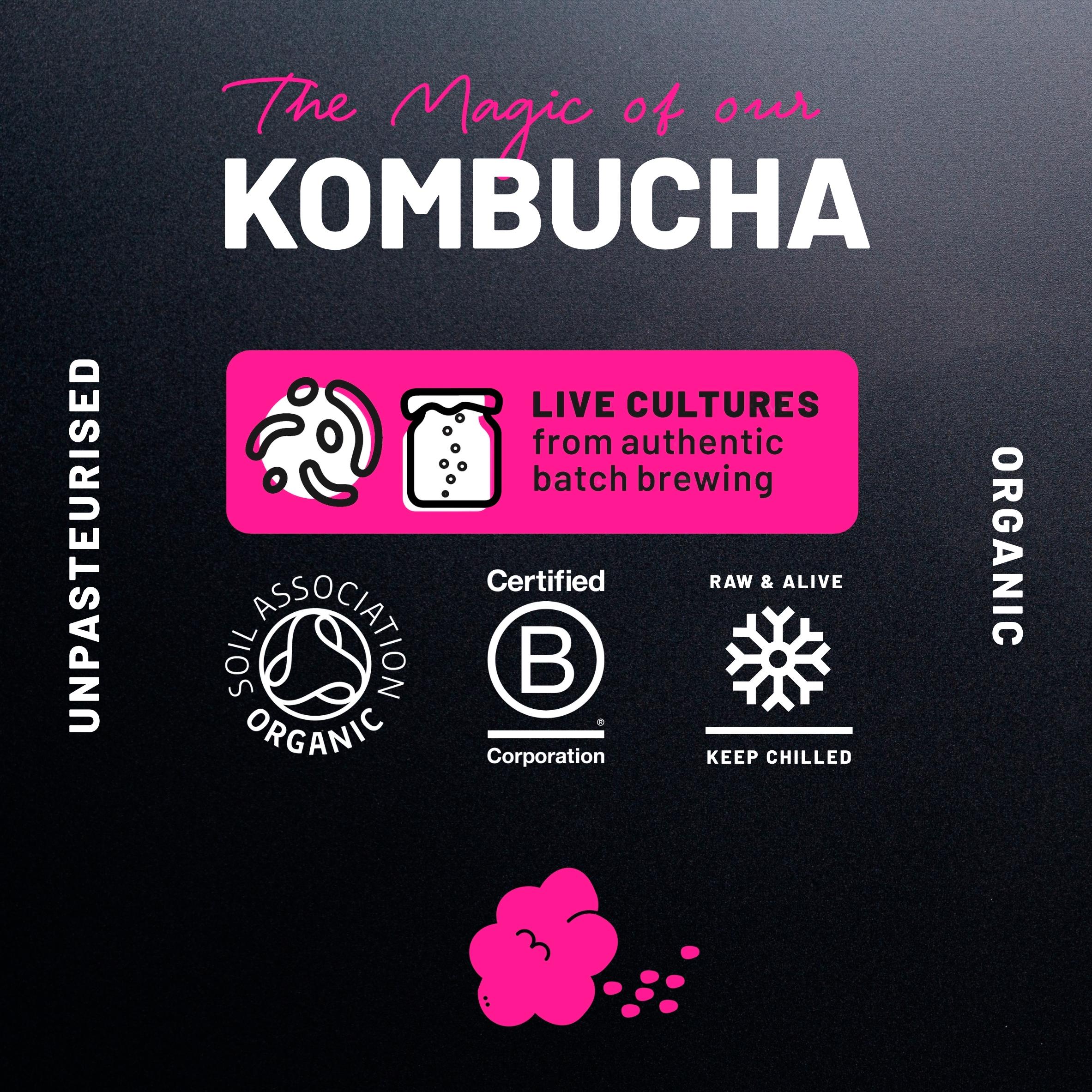 One Living Organic Kombucha Raspberry & Pomegranate 330ml thumbnail 5