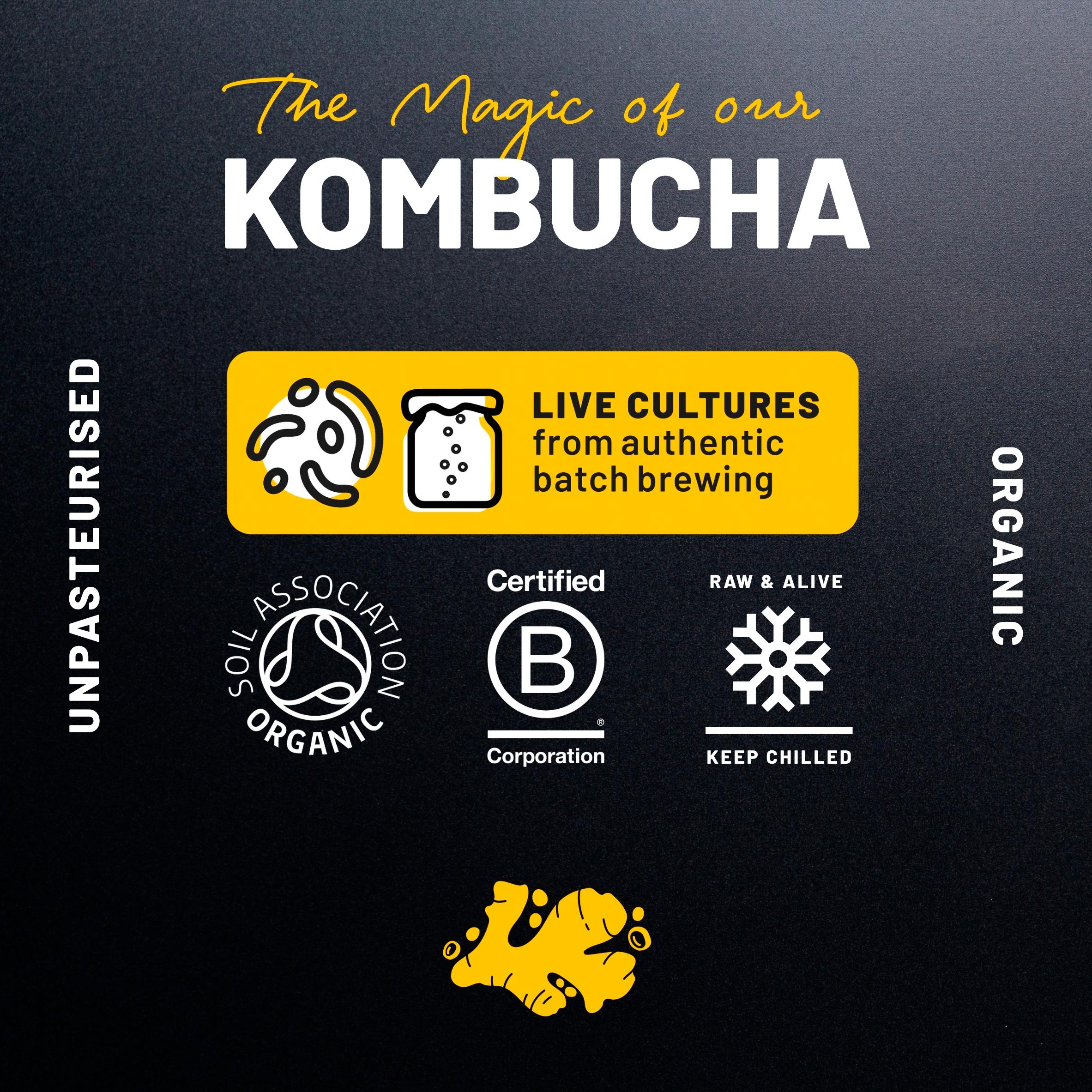 One Living Organic Kombucha Ginger & Turmeric 330ml thumbnail 5