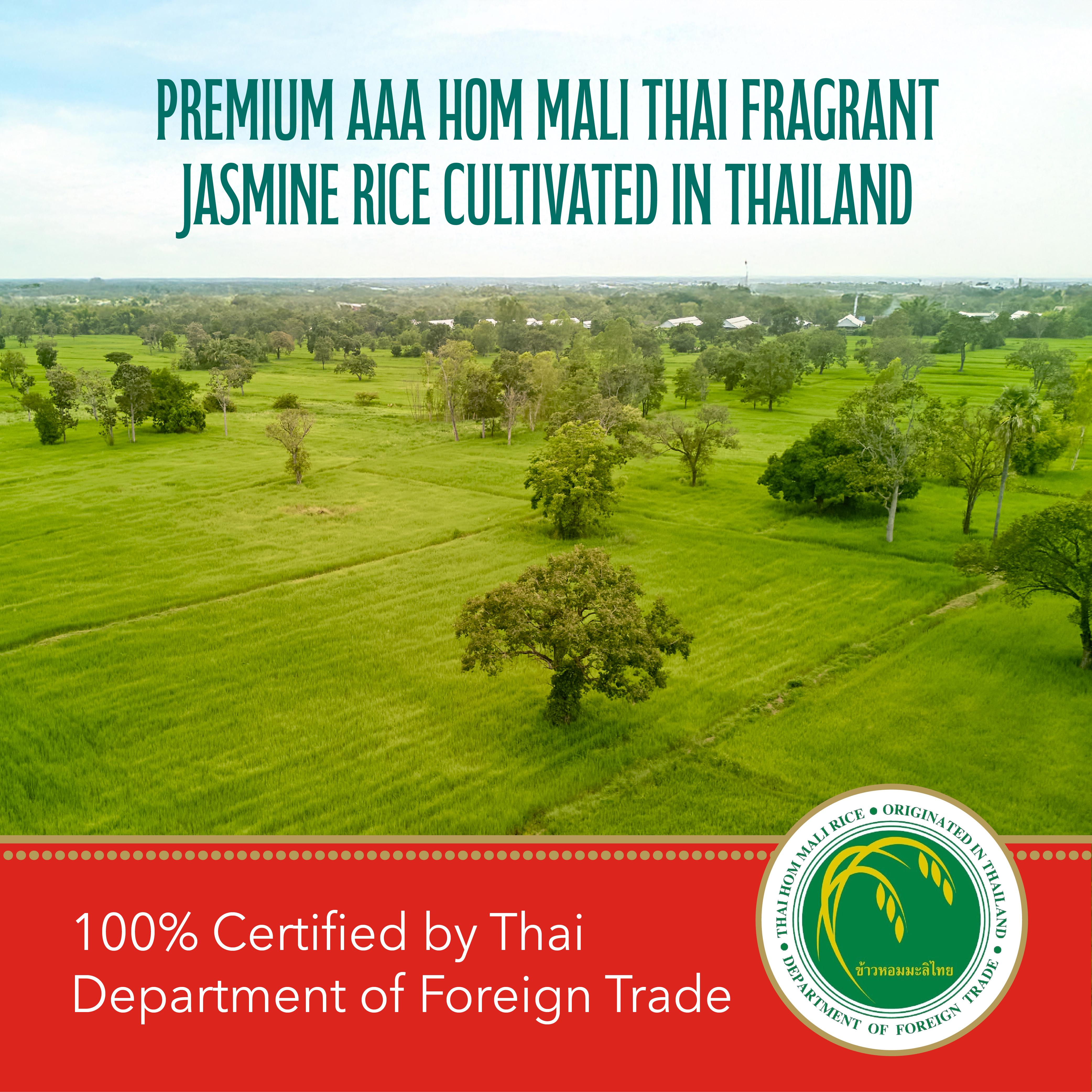 Green Dragon Thai Hom Mali Fragrant Rice 5kg thumbnail 6