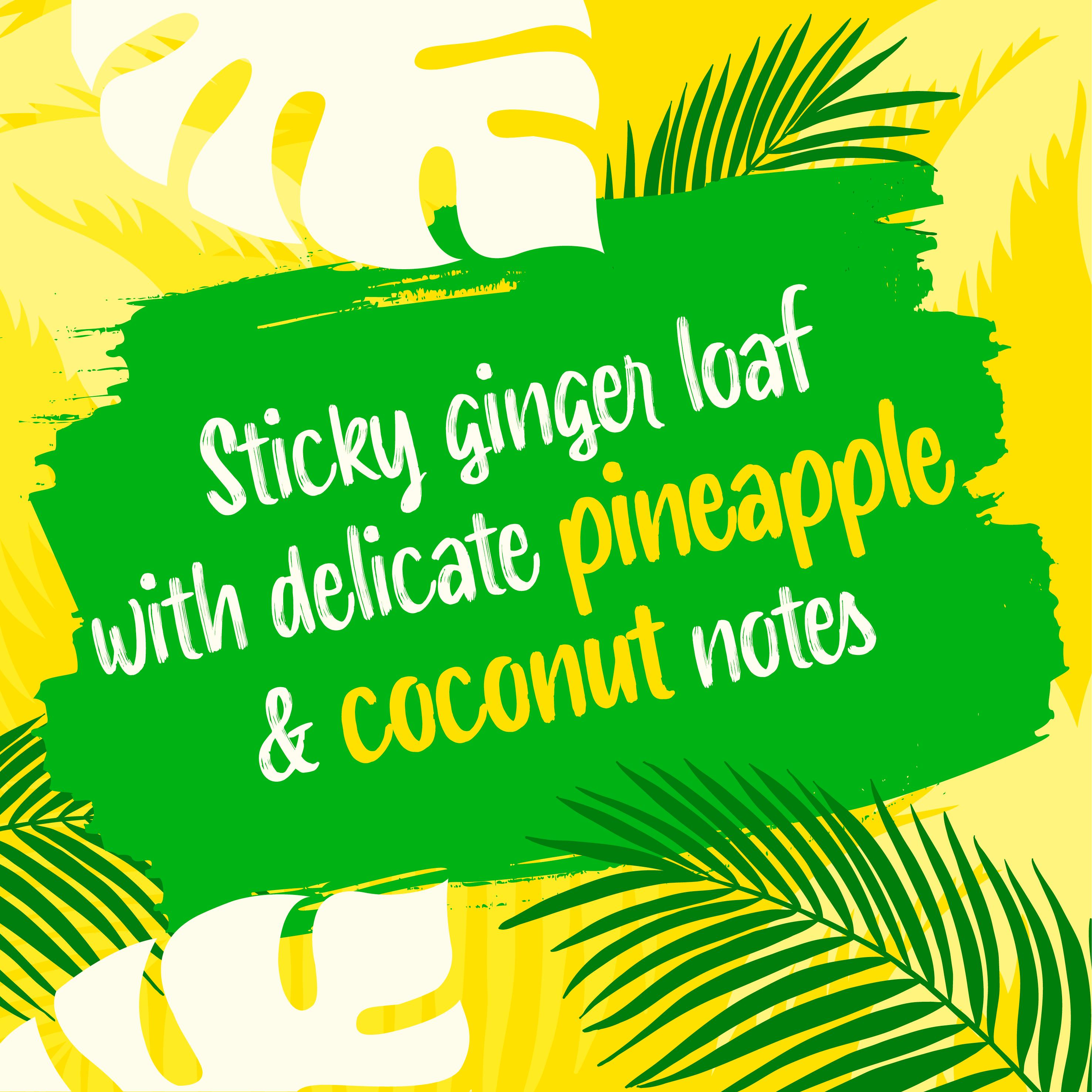 McVitie's Jamaica Ginger Pineapple & Coconut Flavour Sticky Pudding Cake thumbnail 2