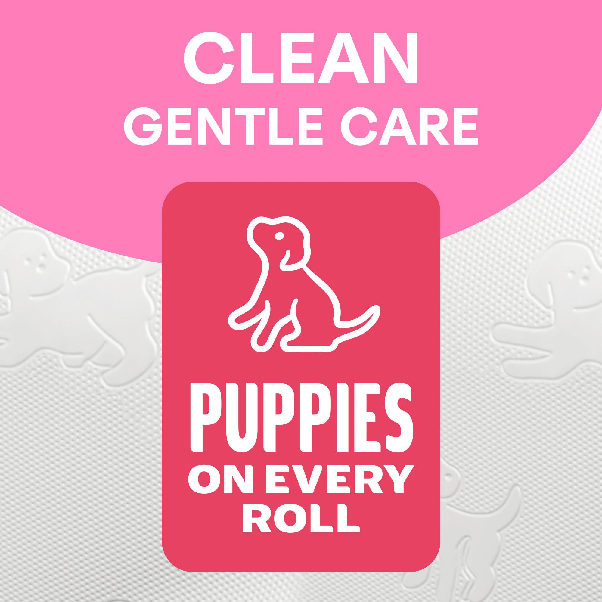 Andrex Family Soft Toilet Tissue Rolls x24 thumbnail 3