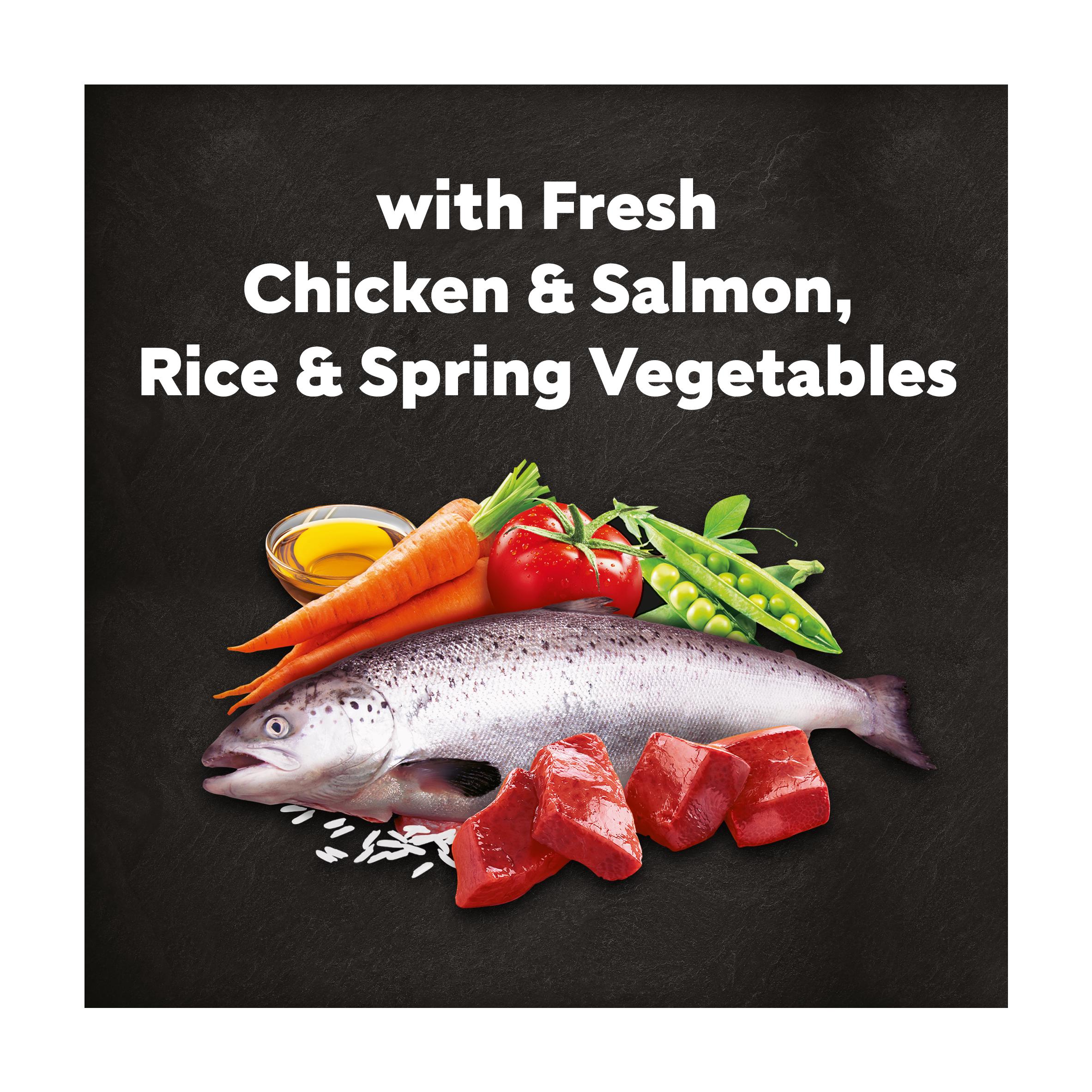 Cesar 1.4kg Fresh Chicken, Salmon & Vegetables Adult Dry Dog Food thumbnail 3