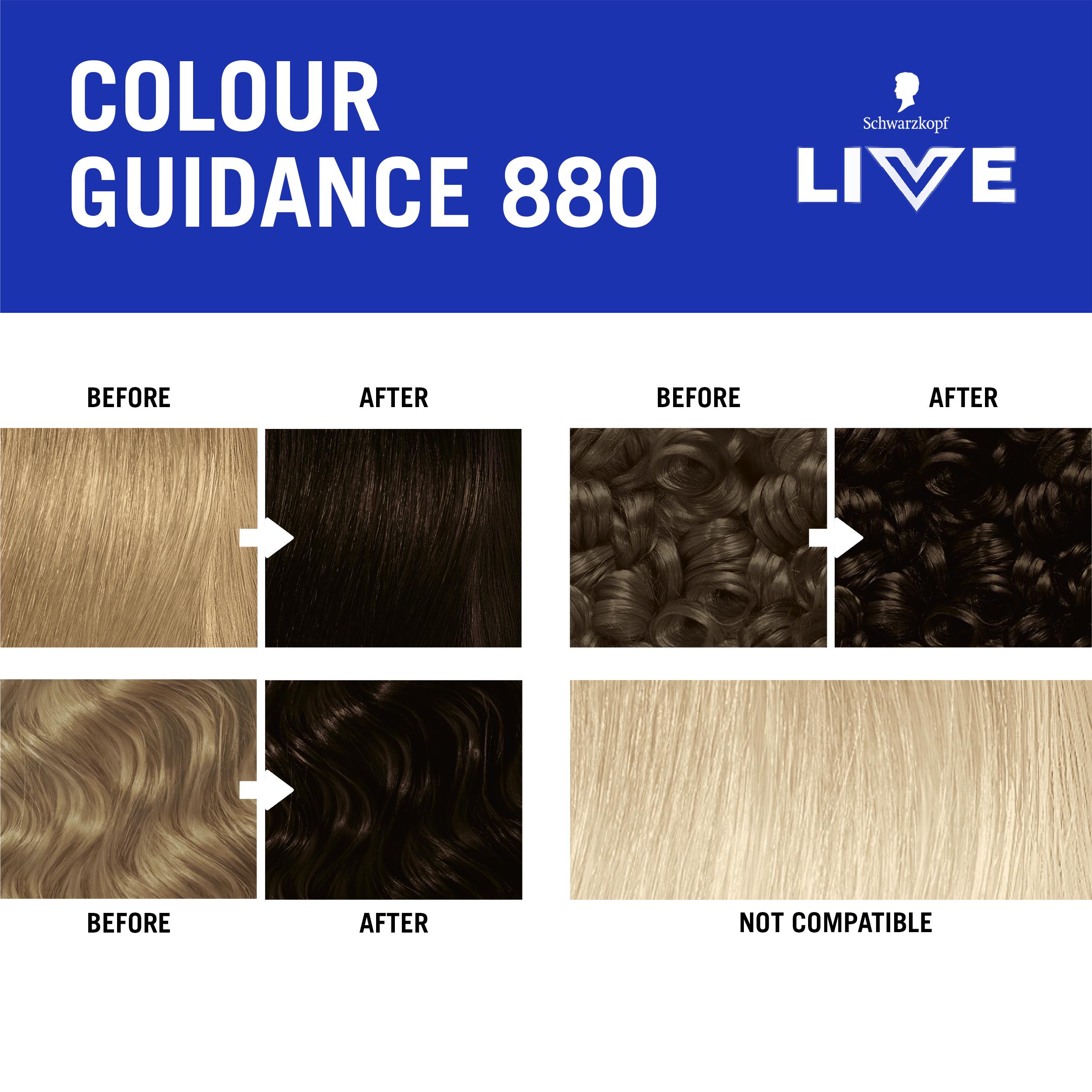 Schwarzkopf 880 Tempting Chocolate Live Intense Colour Permanent Hair Dye thumbnail 6