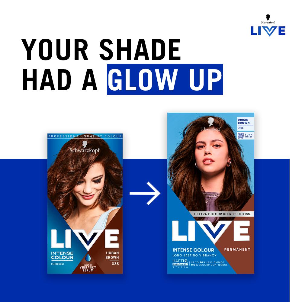 Schwarzkopf 088 Urban Brown Live Intense Colour Permanent Hair Dye thumbnail 2