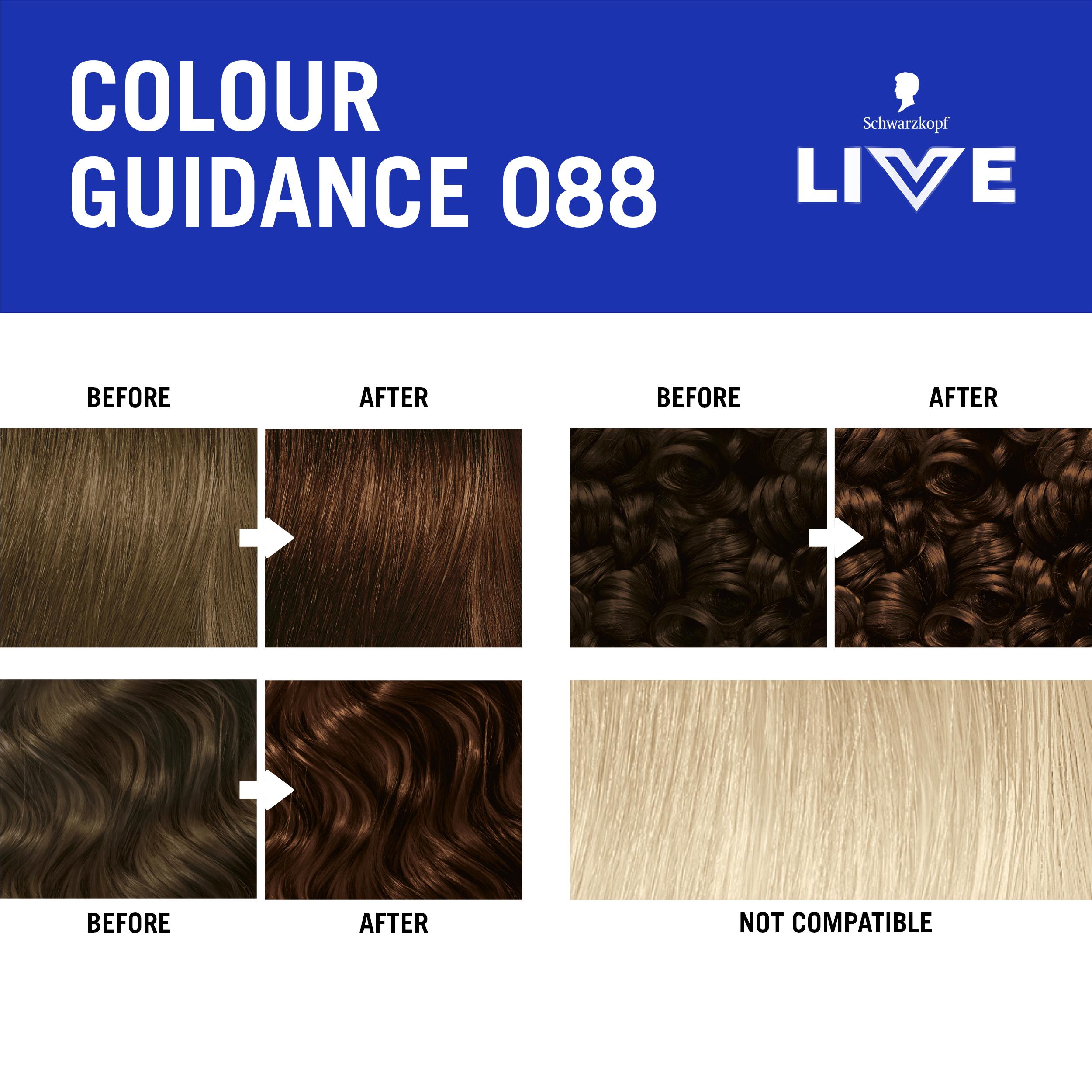 Schwarzkopf 088 Urban Brown Live Intense Colour Permanent Hair Dye thumbnail 6