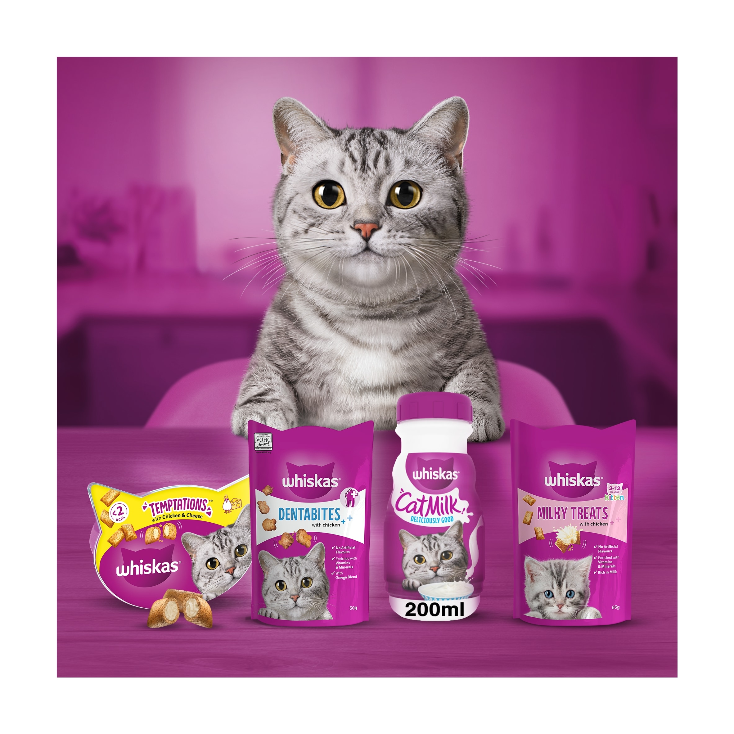 Whiskas Kitten Cat Milk Bottle 3 Pack x 200ml thumbnail 4