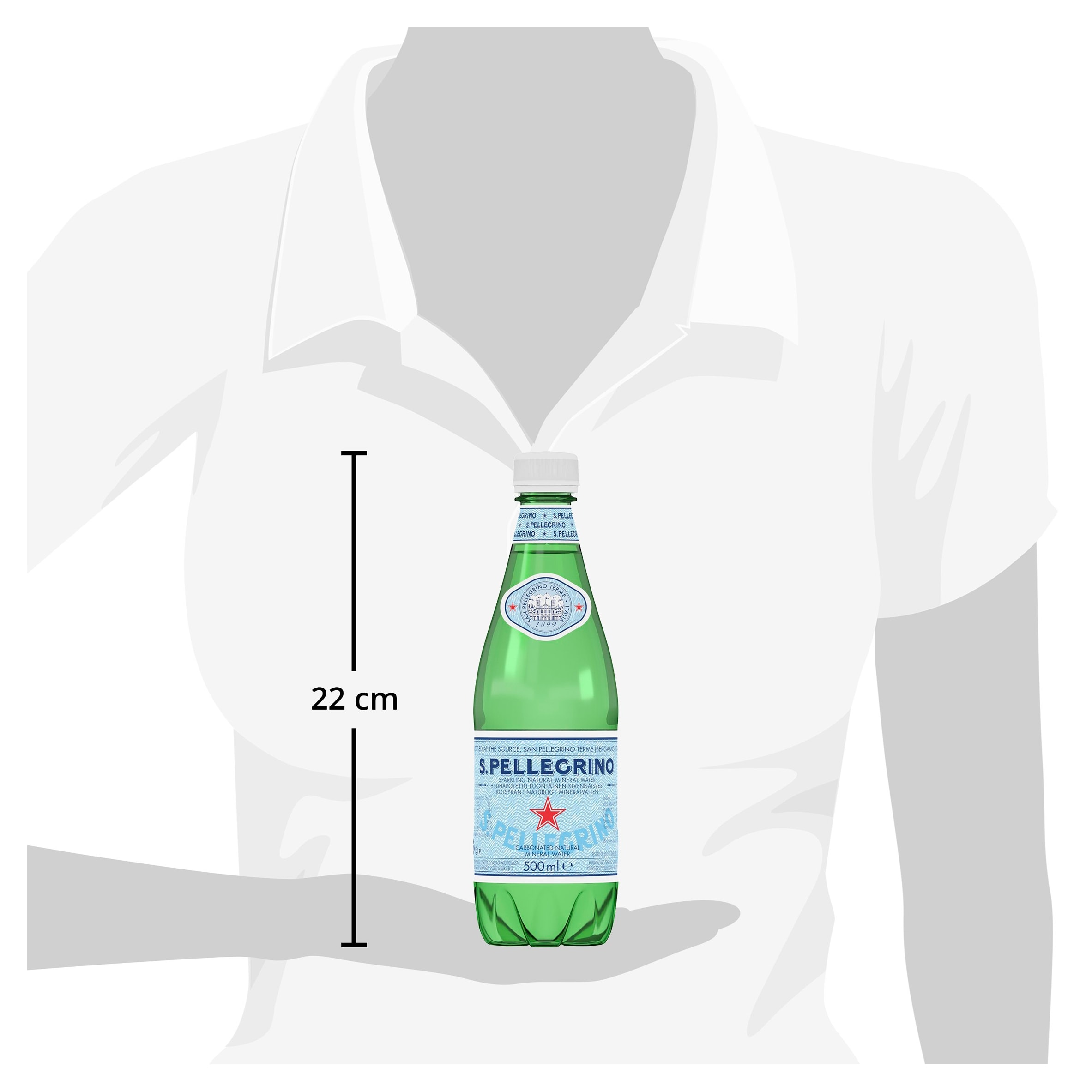 San Pellegrino Sparkling Natural Mineral Water 500ml thumbnail 5