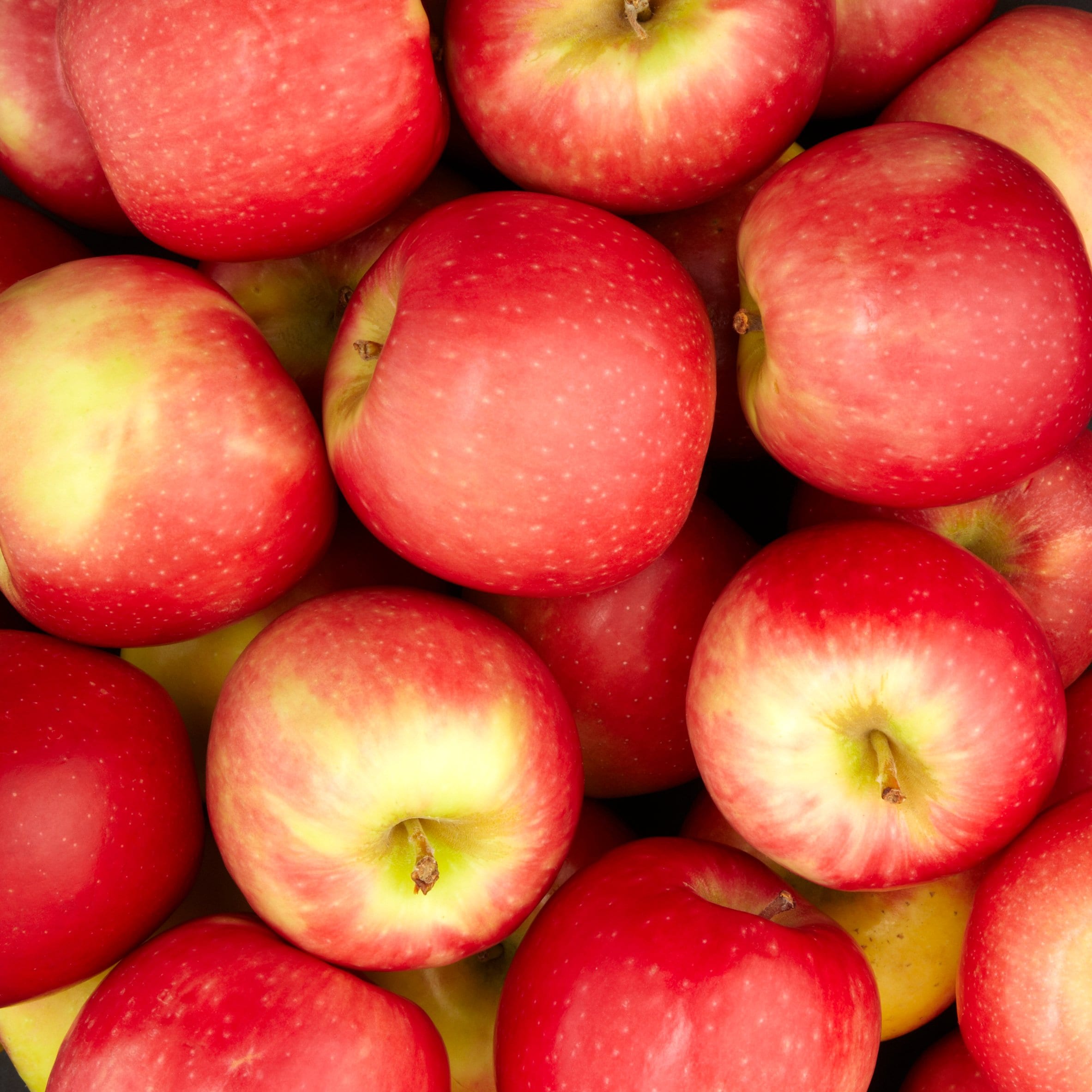 Large Pink Lady Apples Loose Class 1 thumbnail 2