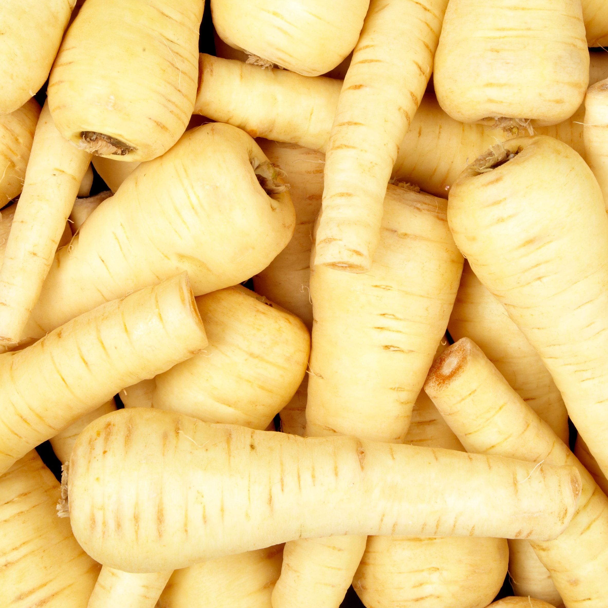 Tesco Parsnips Loose thumbnail 2