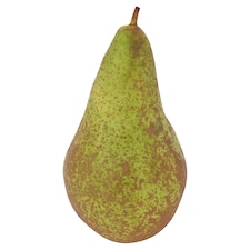 Large Conference Pears Class 1 Loose
