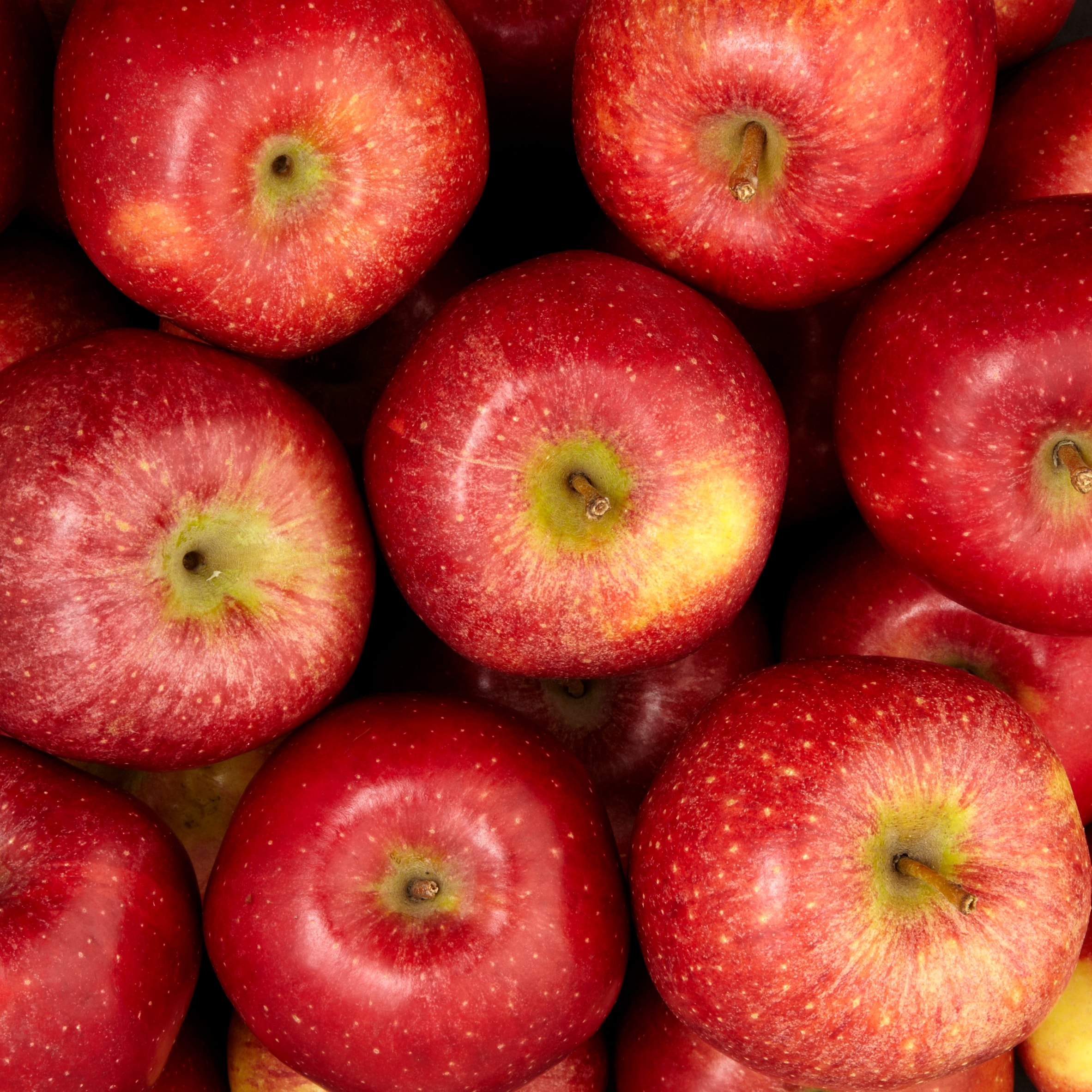 Large Braeburn Apples Loose Class 1 thumbnail 2