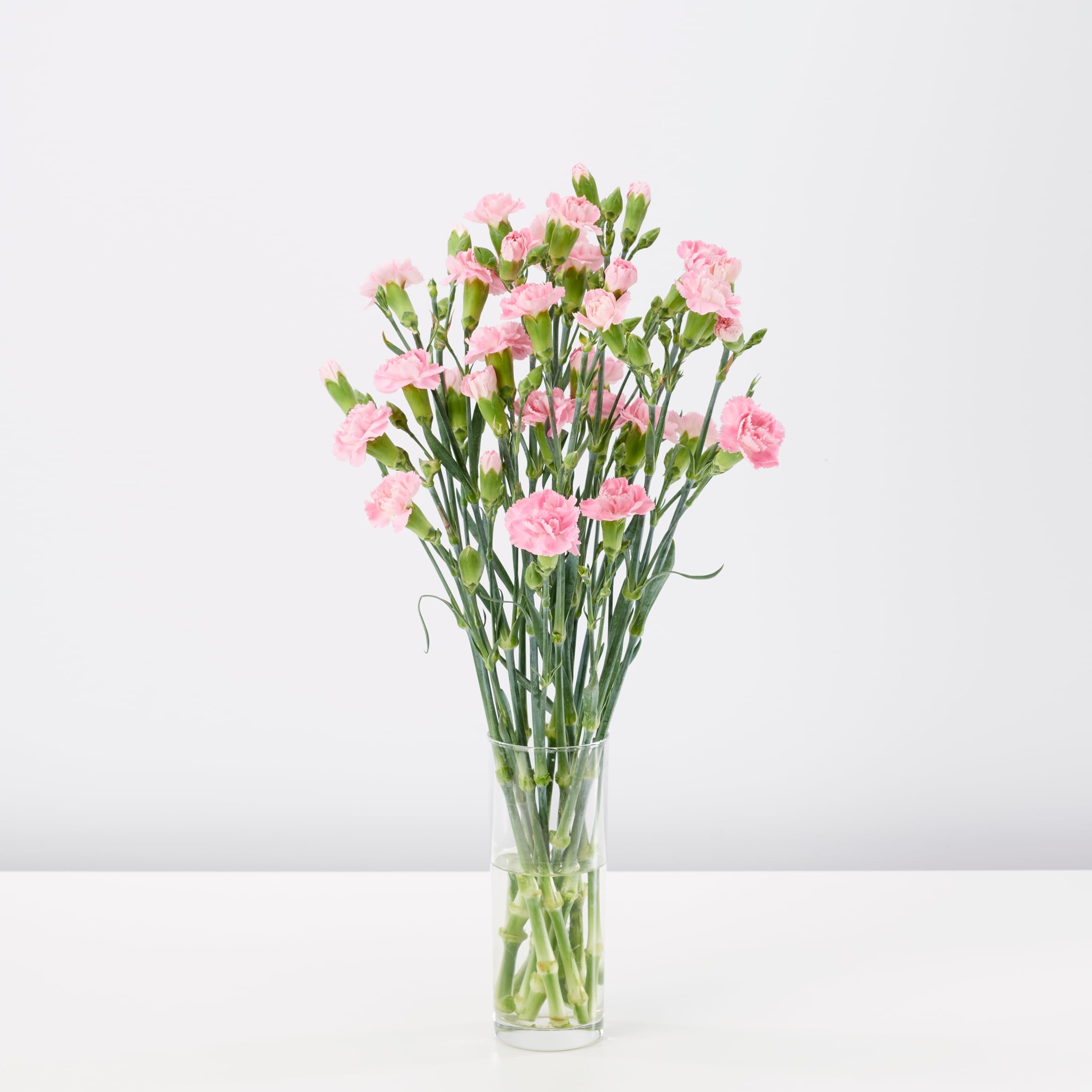 Tesco Spray Carnations Flowers Bouquet