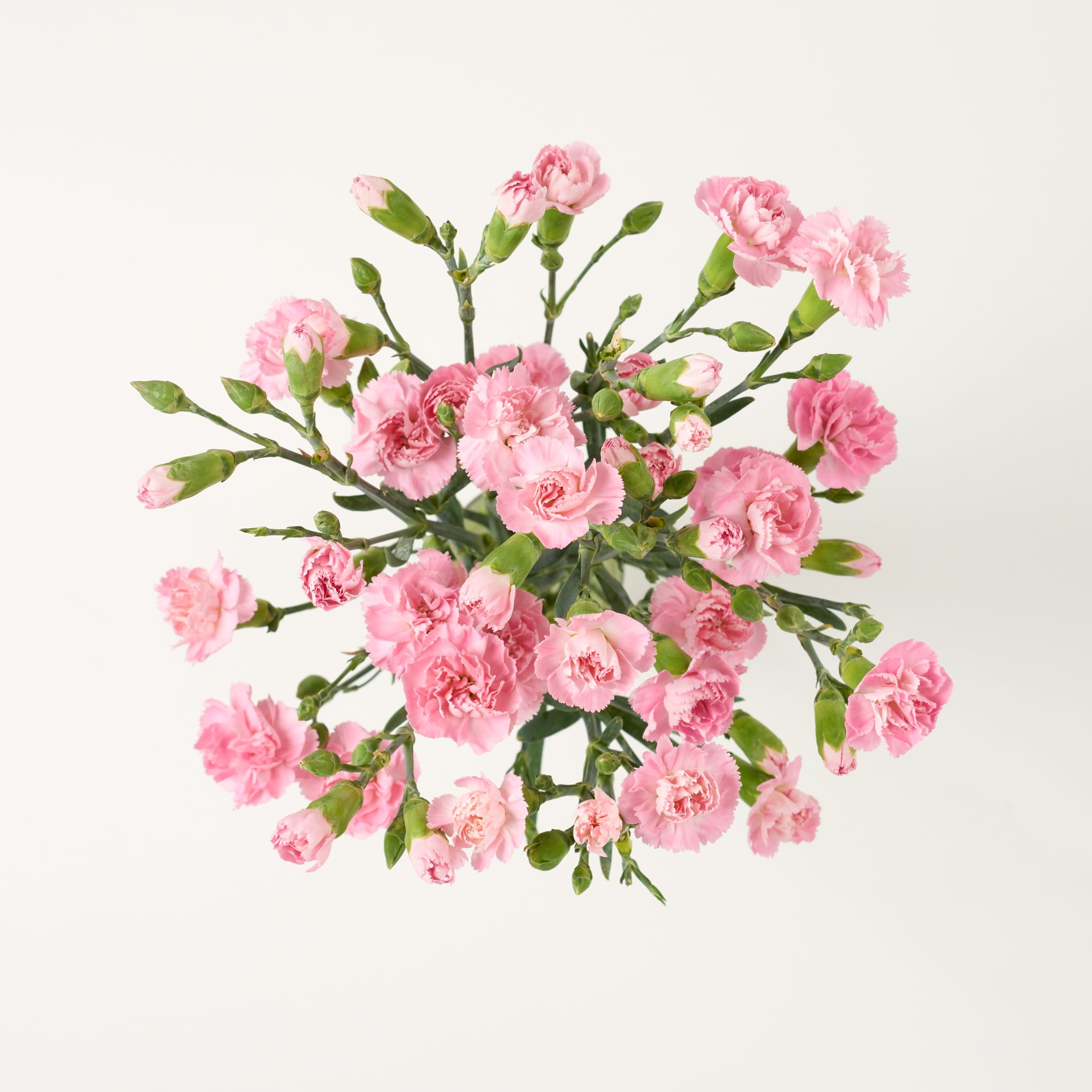 Tesco Spray Carnations Flowers Bouquet thumbnail 3