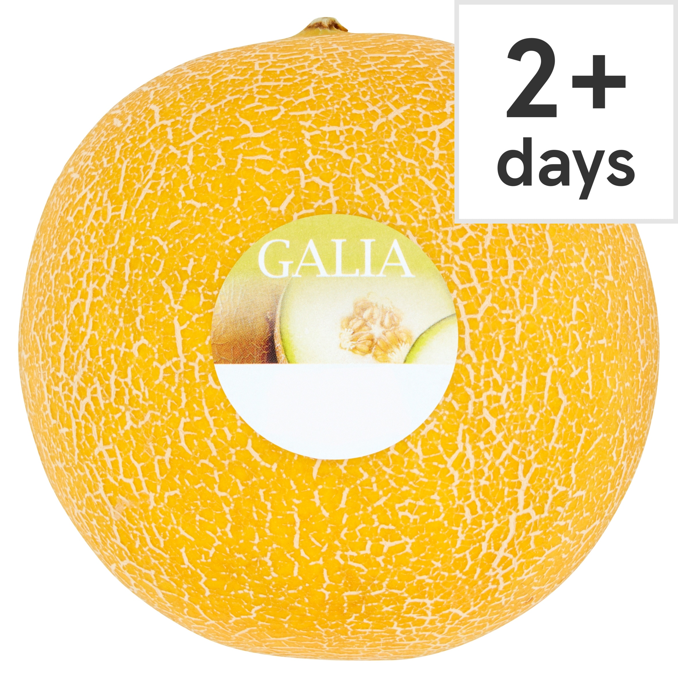 Tesco Galia Melon Each