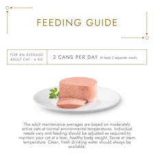 Gourmet Gold Pate With Ocean Fish 85G thumbnail 3