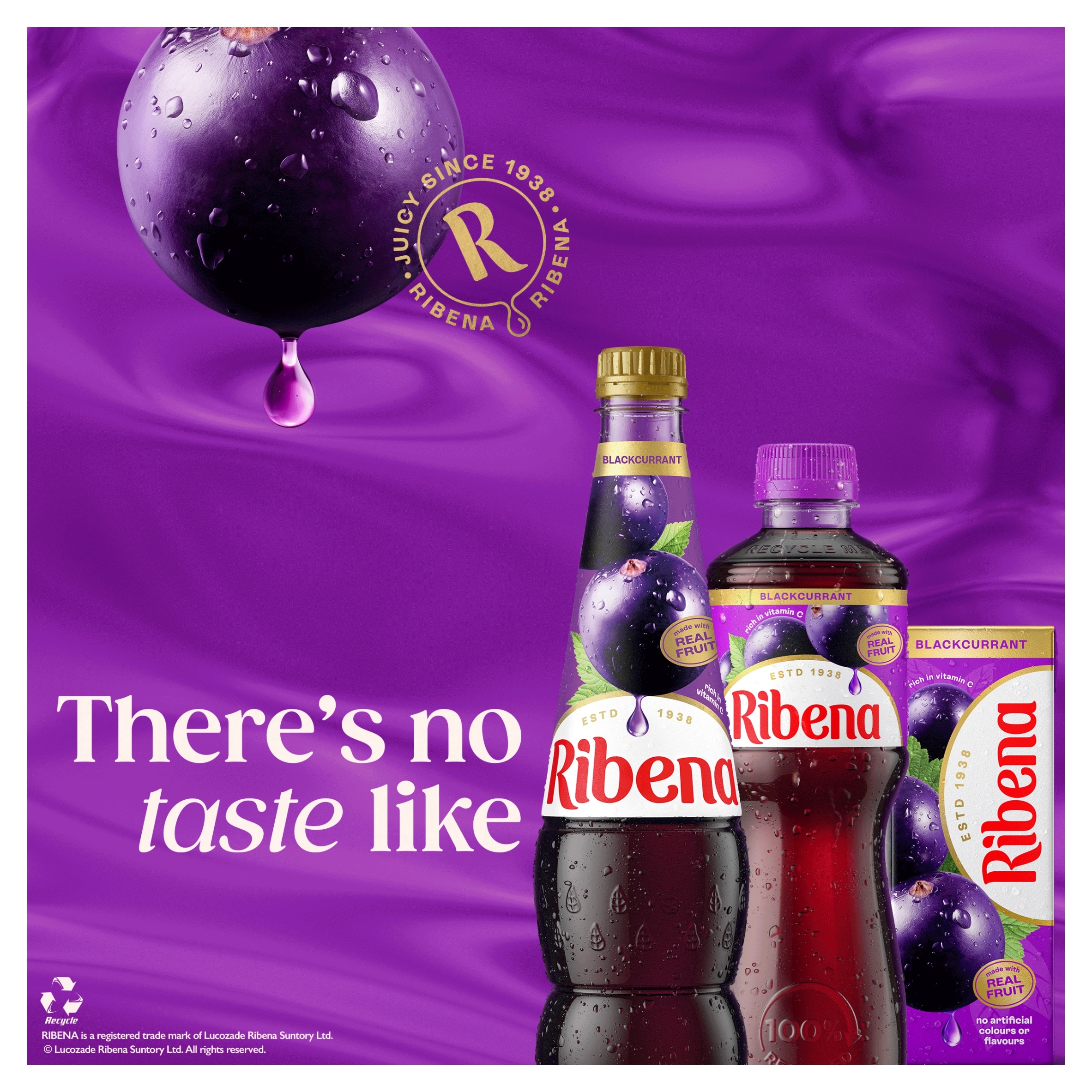 Ribena Blackcurrant Juice Drink 500ml thumbnail 2