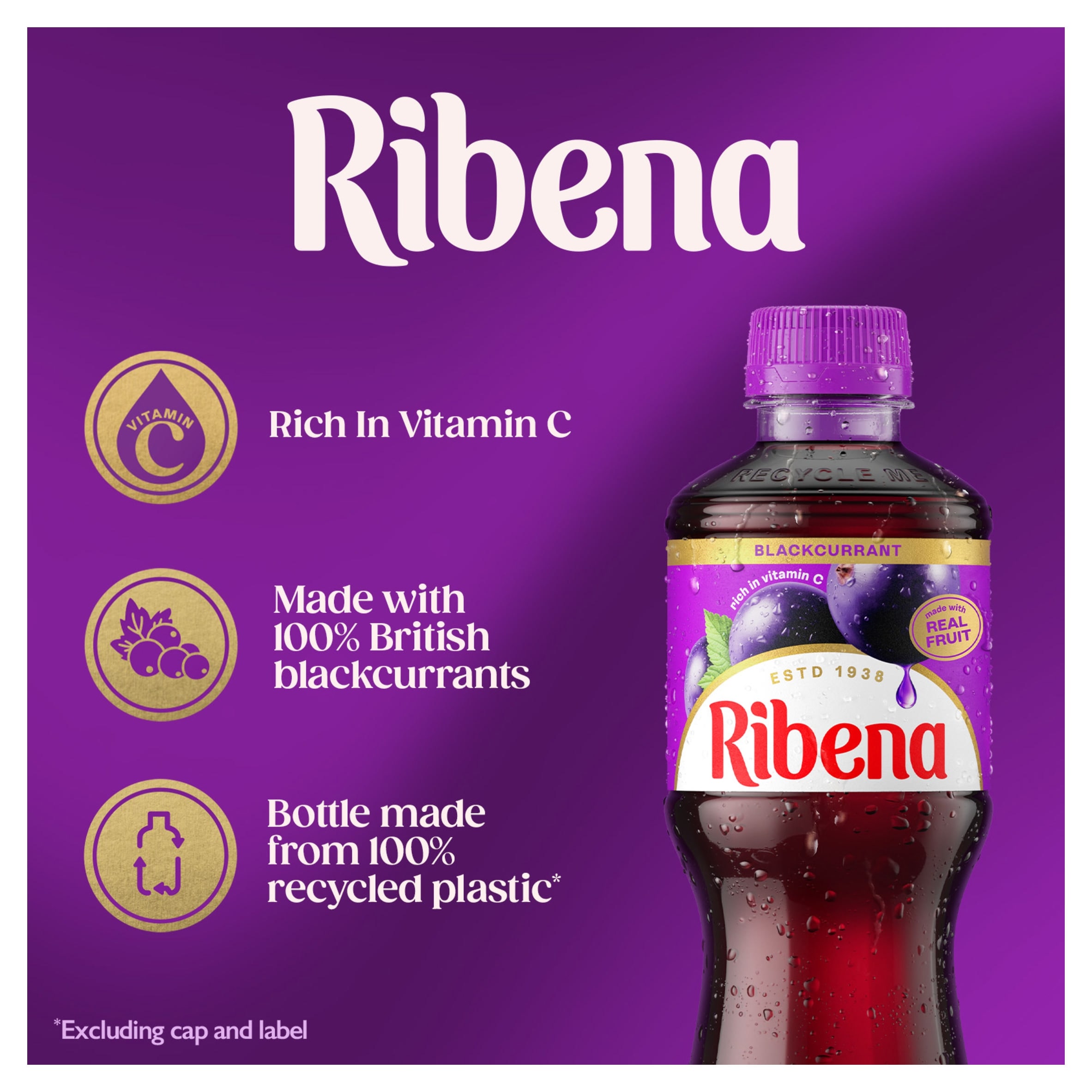 Ribena Blackcurrant Juice Drink 500ml thumbnail 3