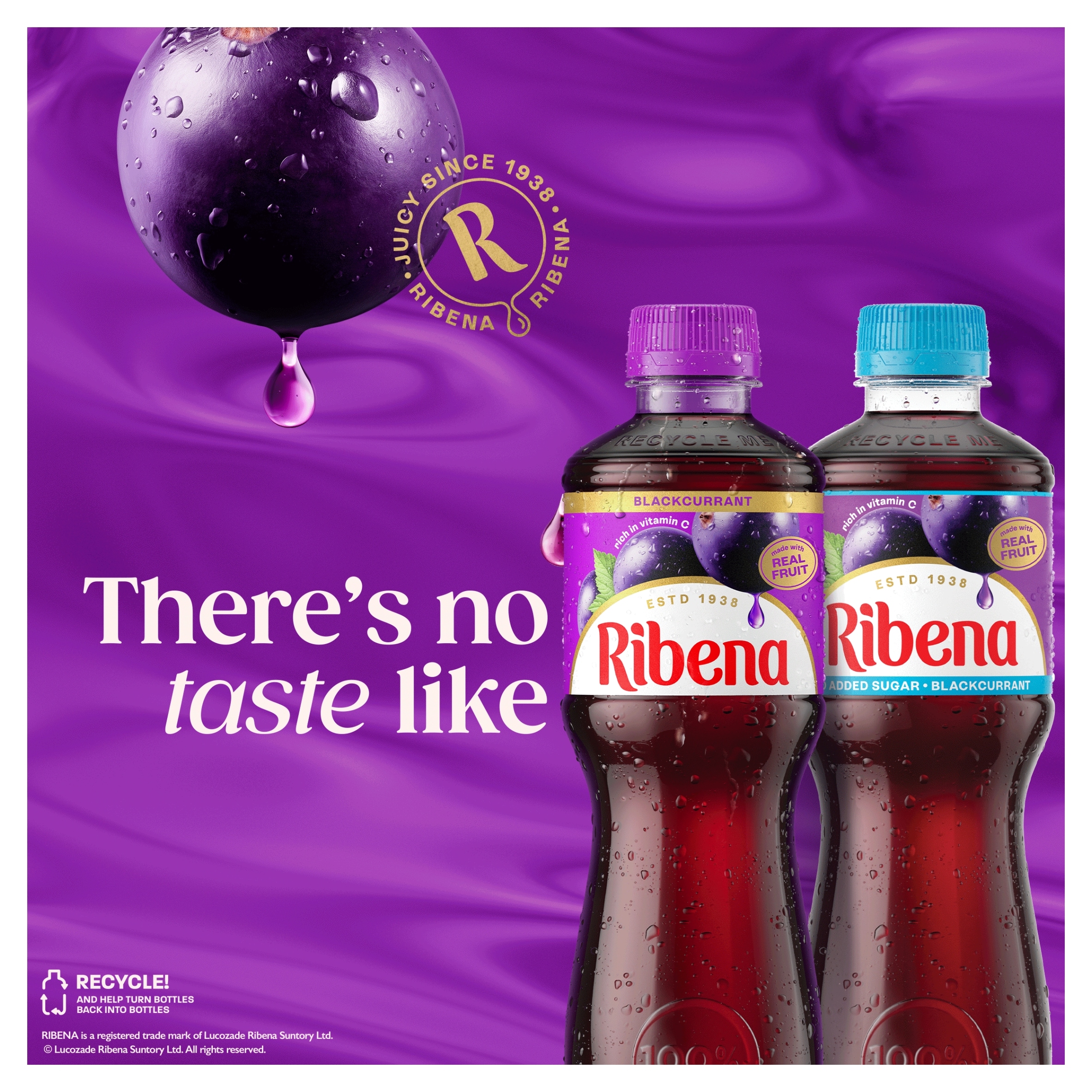 Ribena Blackcurrant Juice Drink No Added Sugar 500ml thumbnail 3