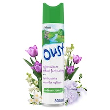 Oust Odour Eliminator Aerosol Air Freshener - Outdoor Scent 300ml