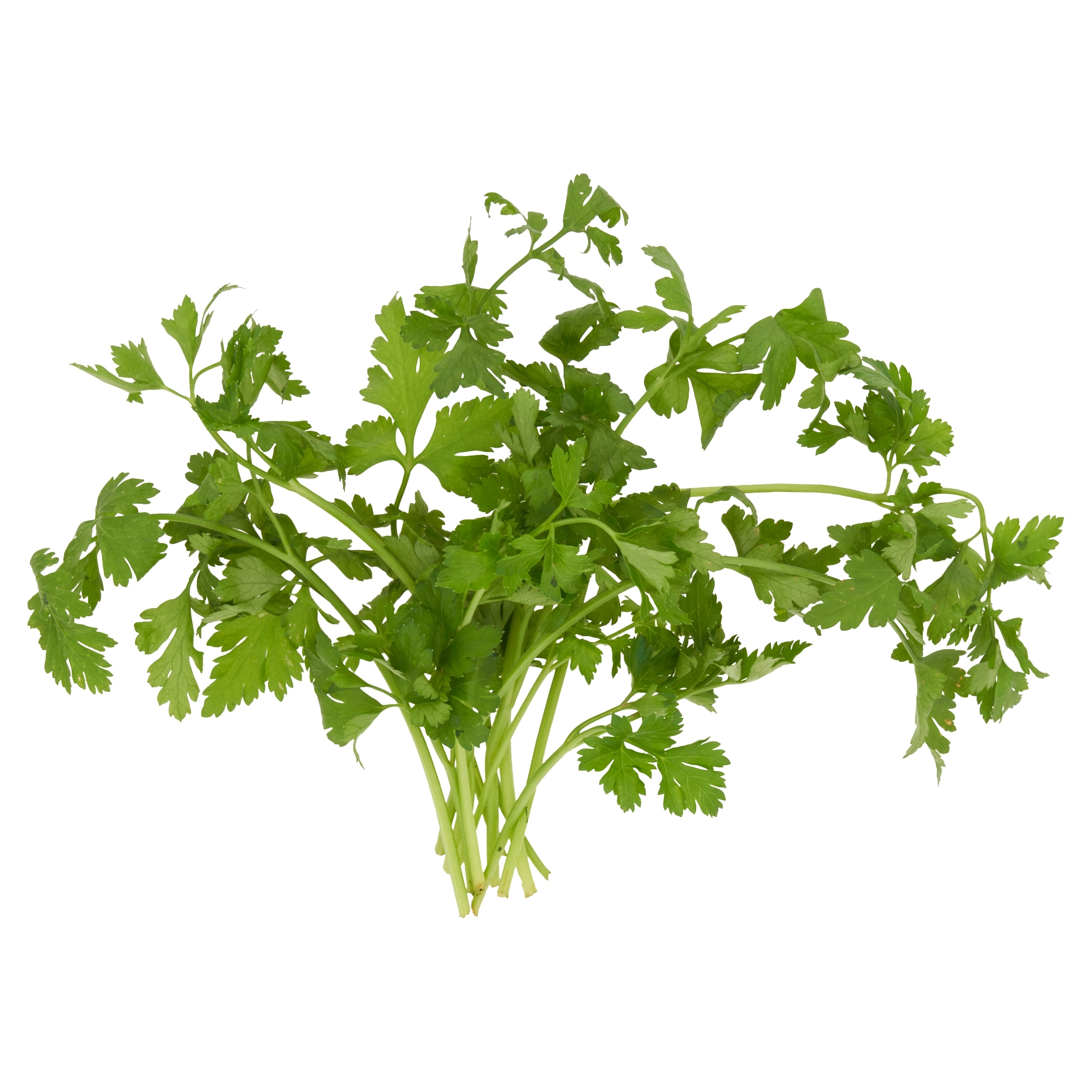 Tesco Flat Leaf Parsley 100G thumbnail 2
