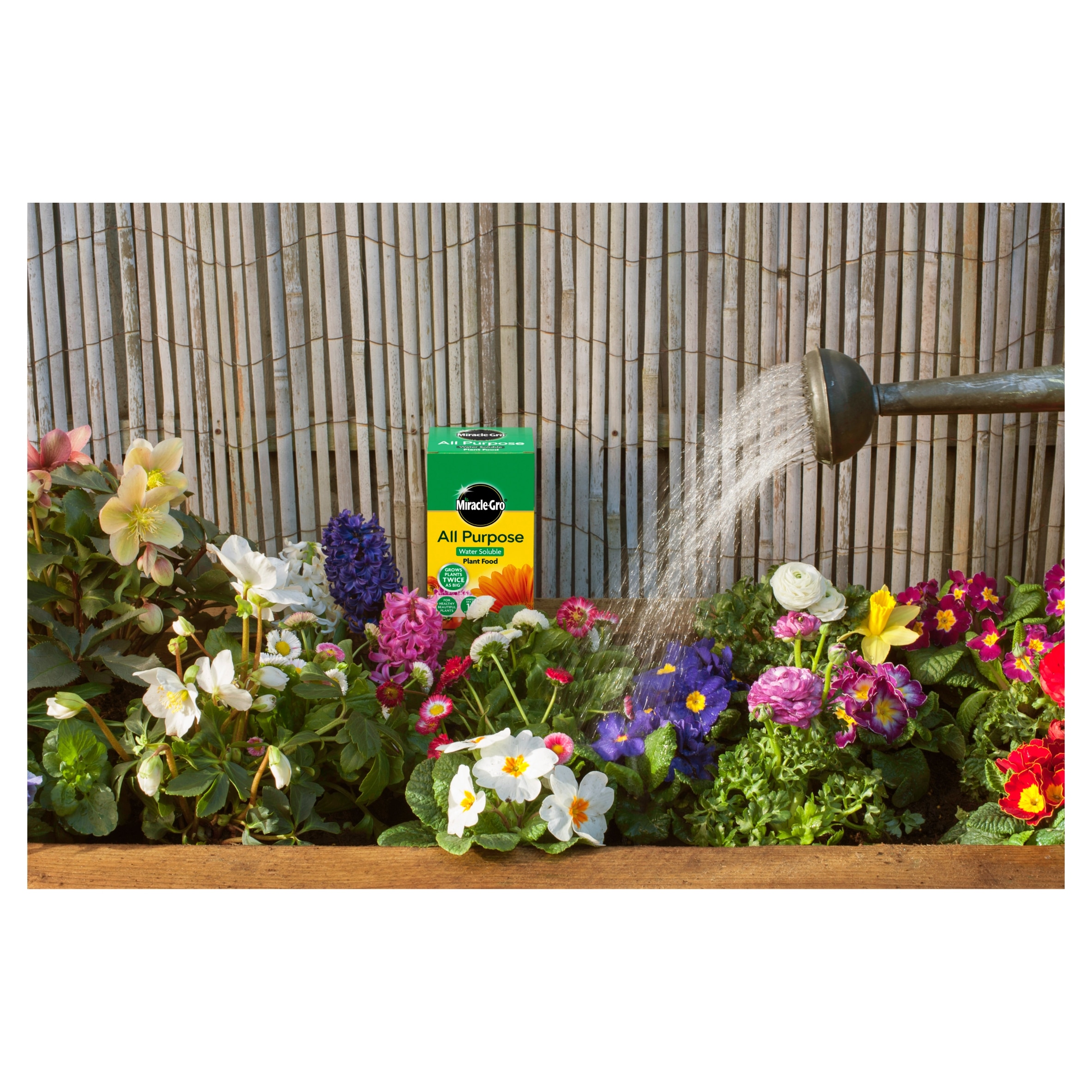 Miracle Gro Soluble Plant Food 1Kg thumbnail 2