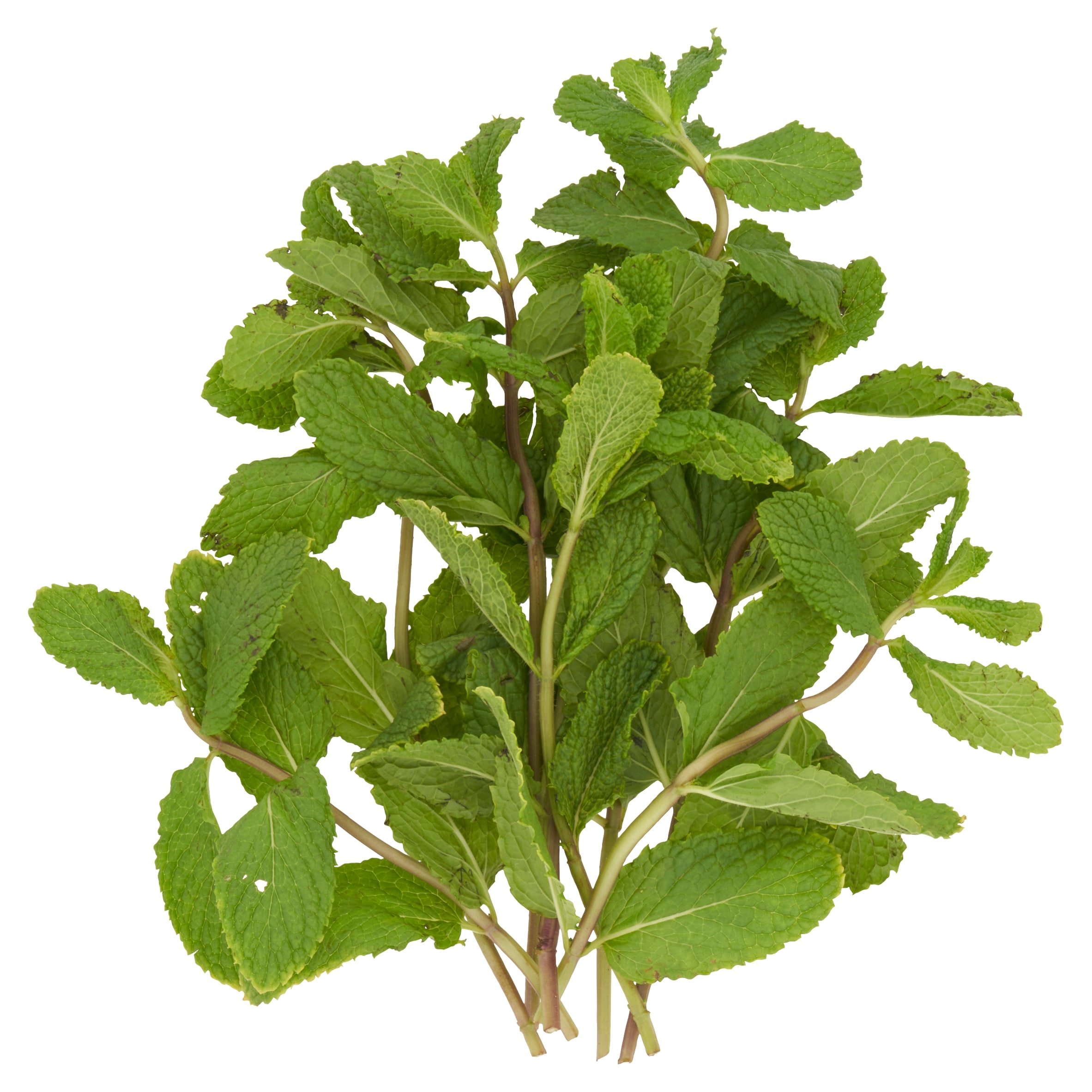 Tesco Mint 30G thumbnail 2