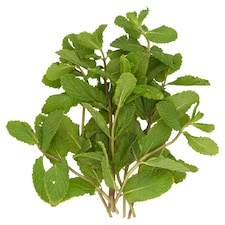 Tesco Mint 30G thumbnail 2