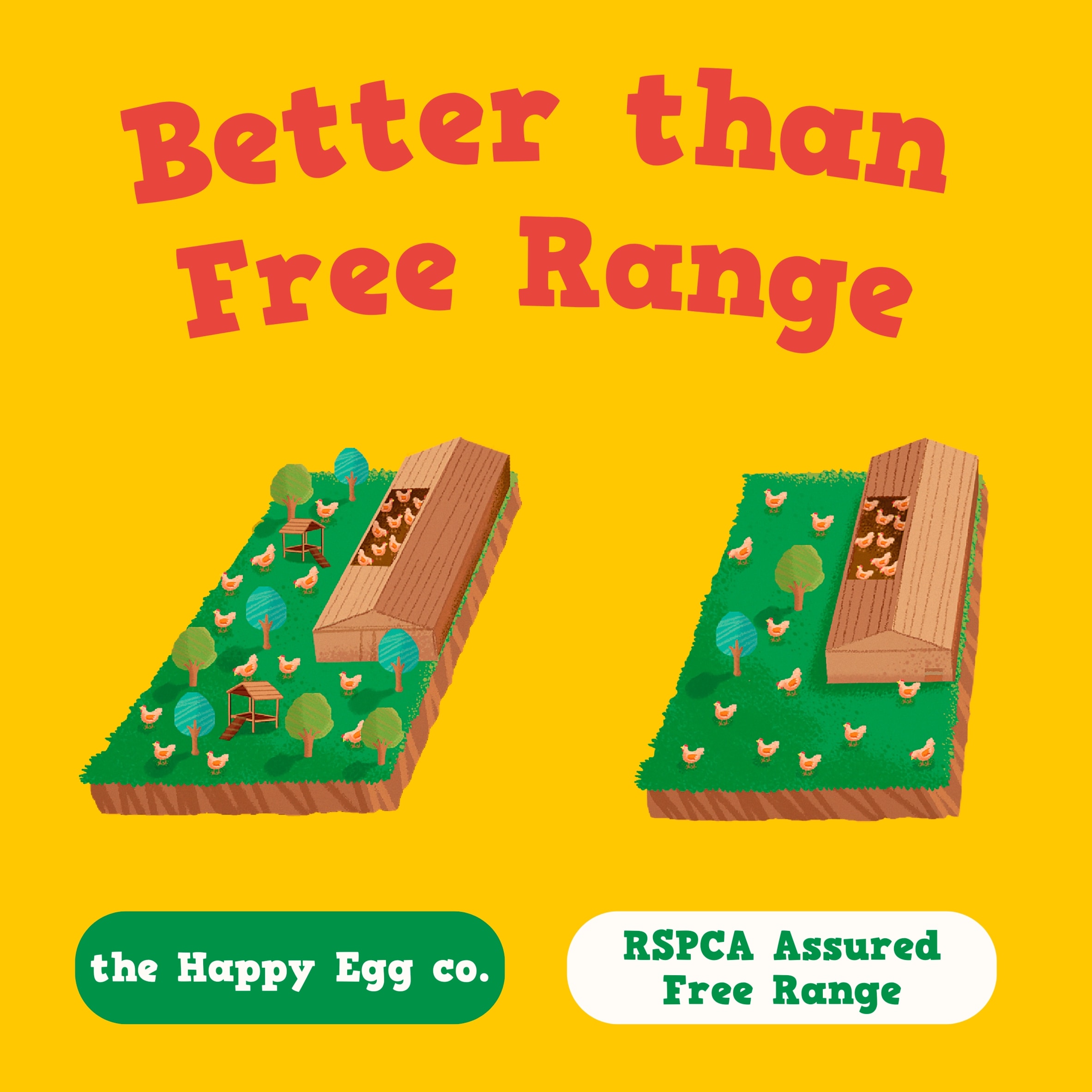 Happy Egg Free Range Eggs Medium 6 Pack thumbnail 2