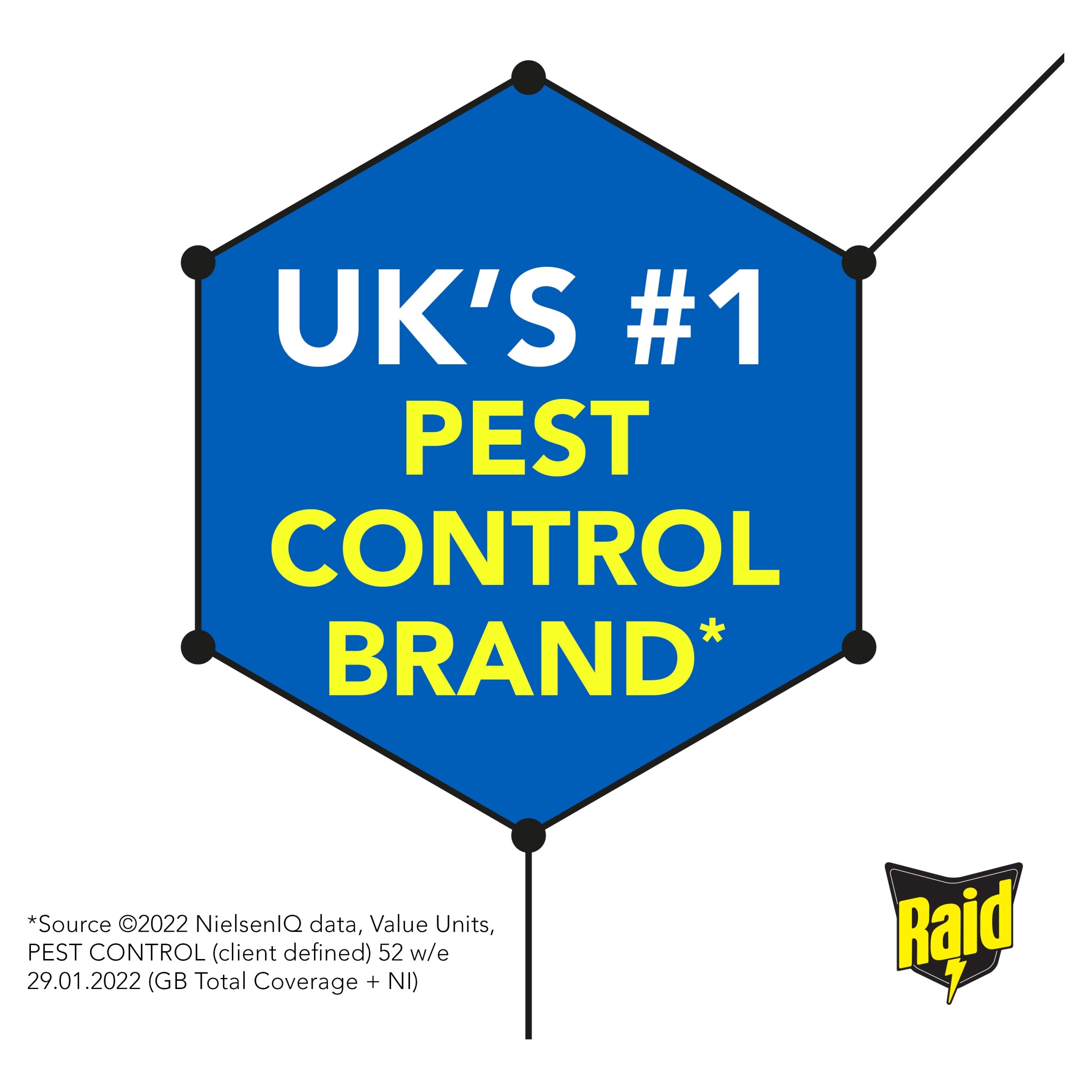Raid Ant & Insect Killer Powder 250g thumbnail 2