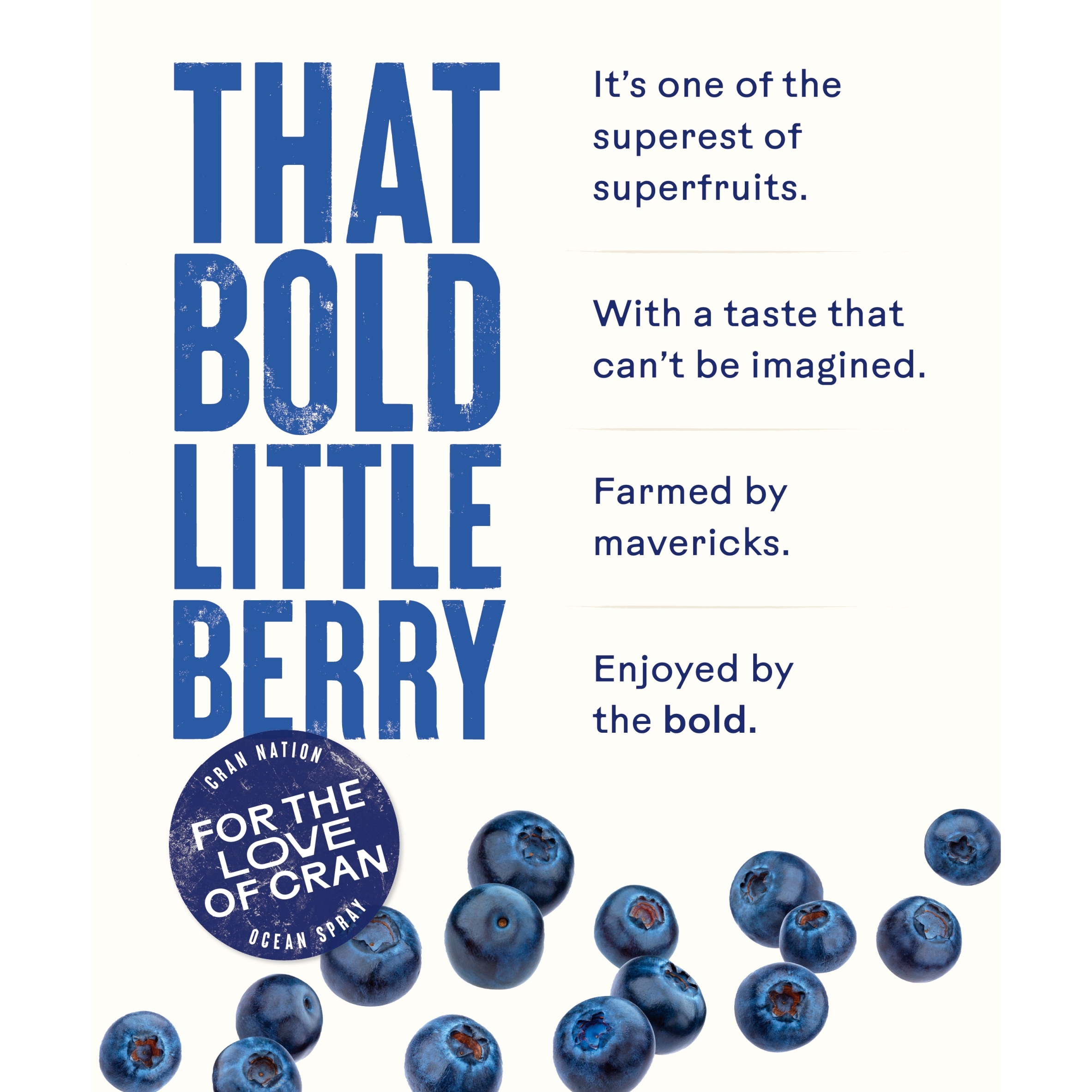 Ocean Spray Blueberry Juice Drink 1 Litre thumbnail 5