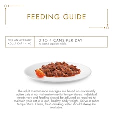 Gourmet Gold Duo Duck And Turkey 85G thumbnail 3