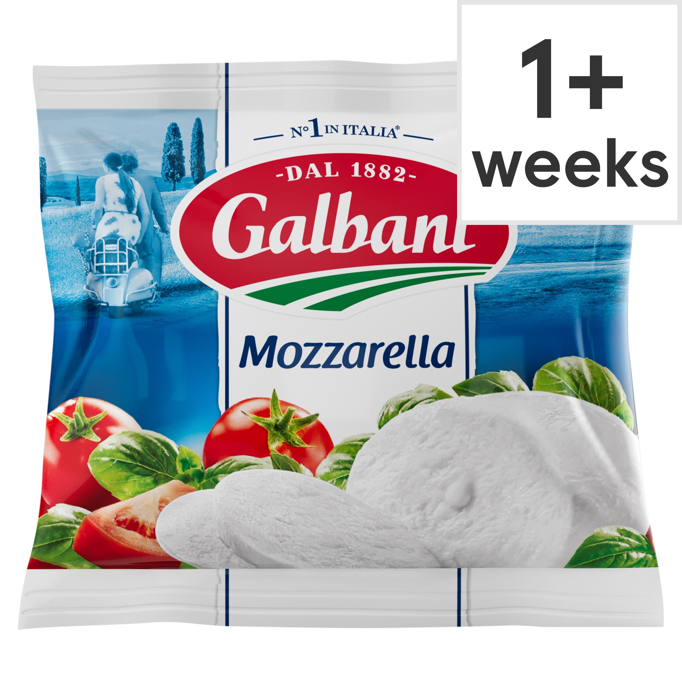 Galbani Italian Mozzarella Cheese