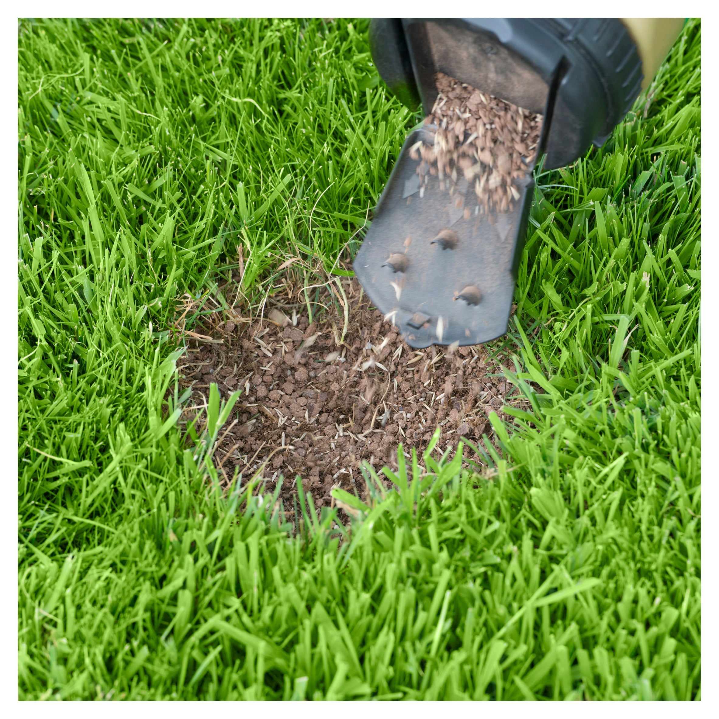 Miracle Gro Patch Magic 1Kg thumbnail 2