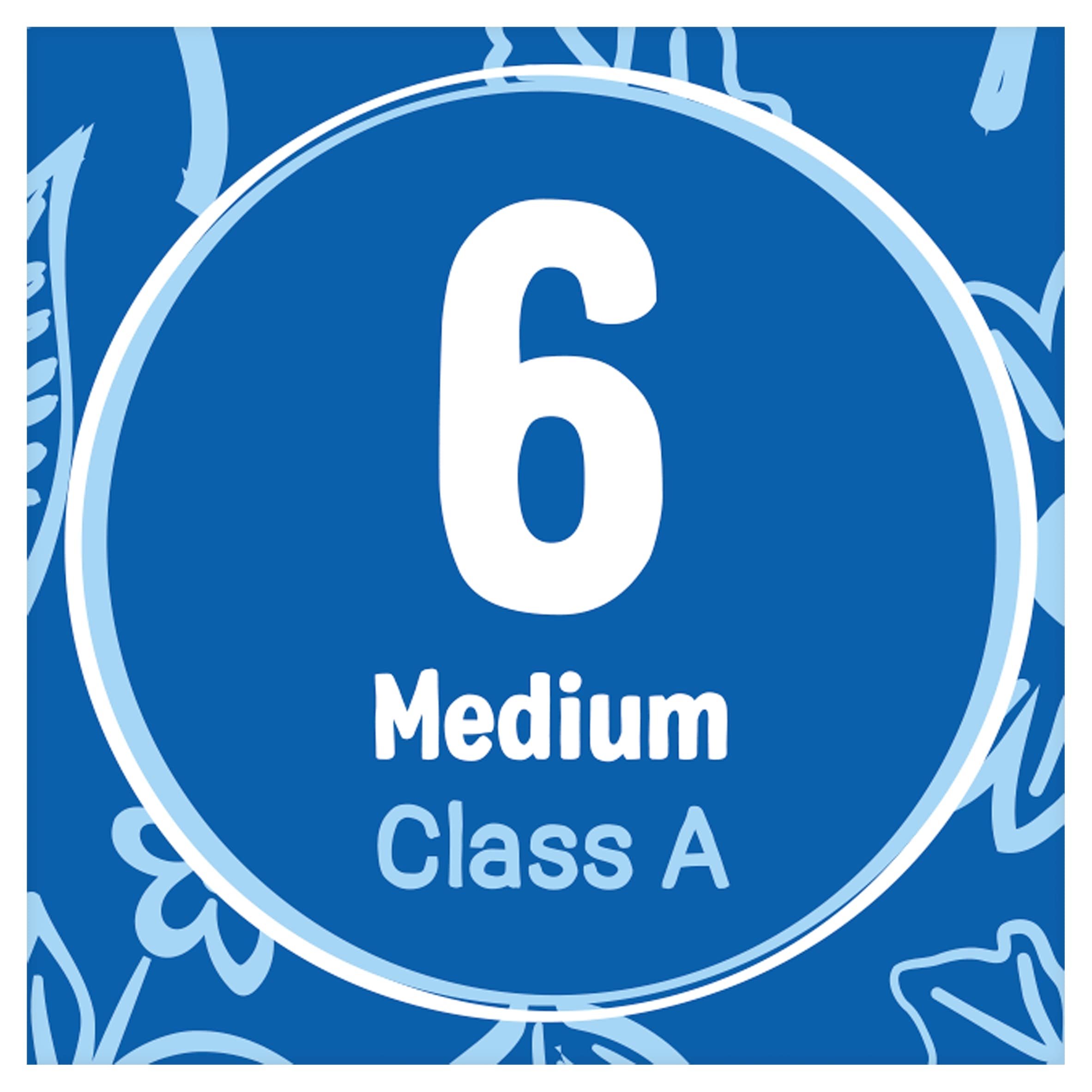 St. Ewe Original Free Range Eggs Medium 6 Pack thumbnail 4