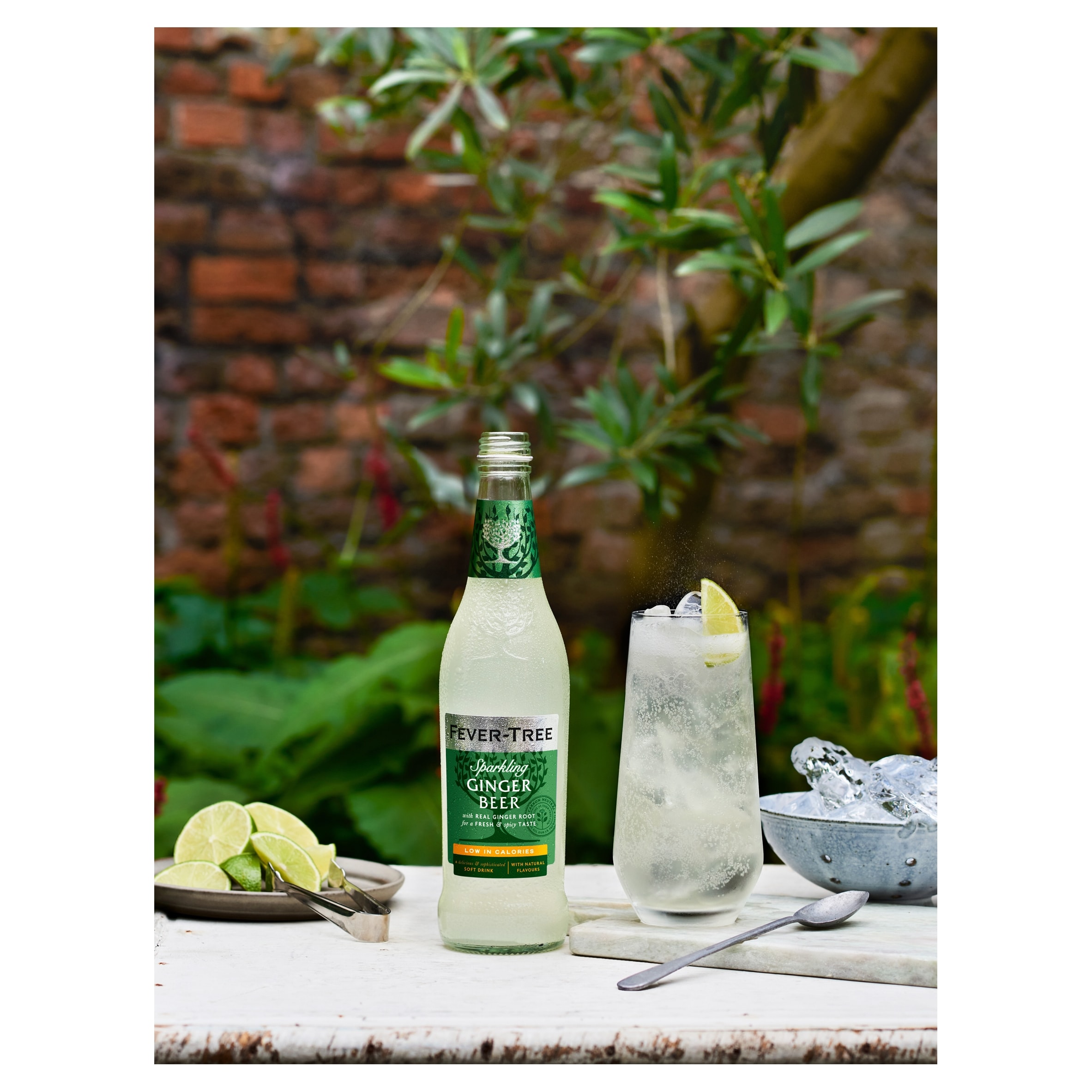 Fever-Tree Light Ginger Beer Bottle 500ml thumbnail 2