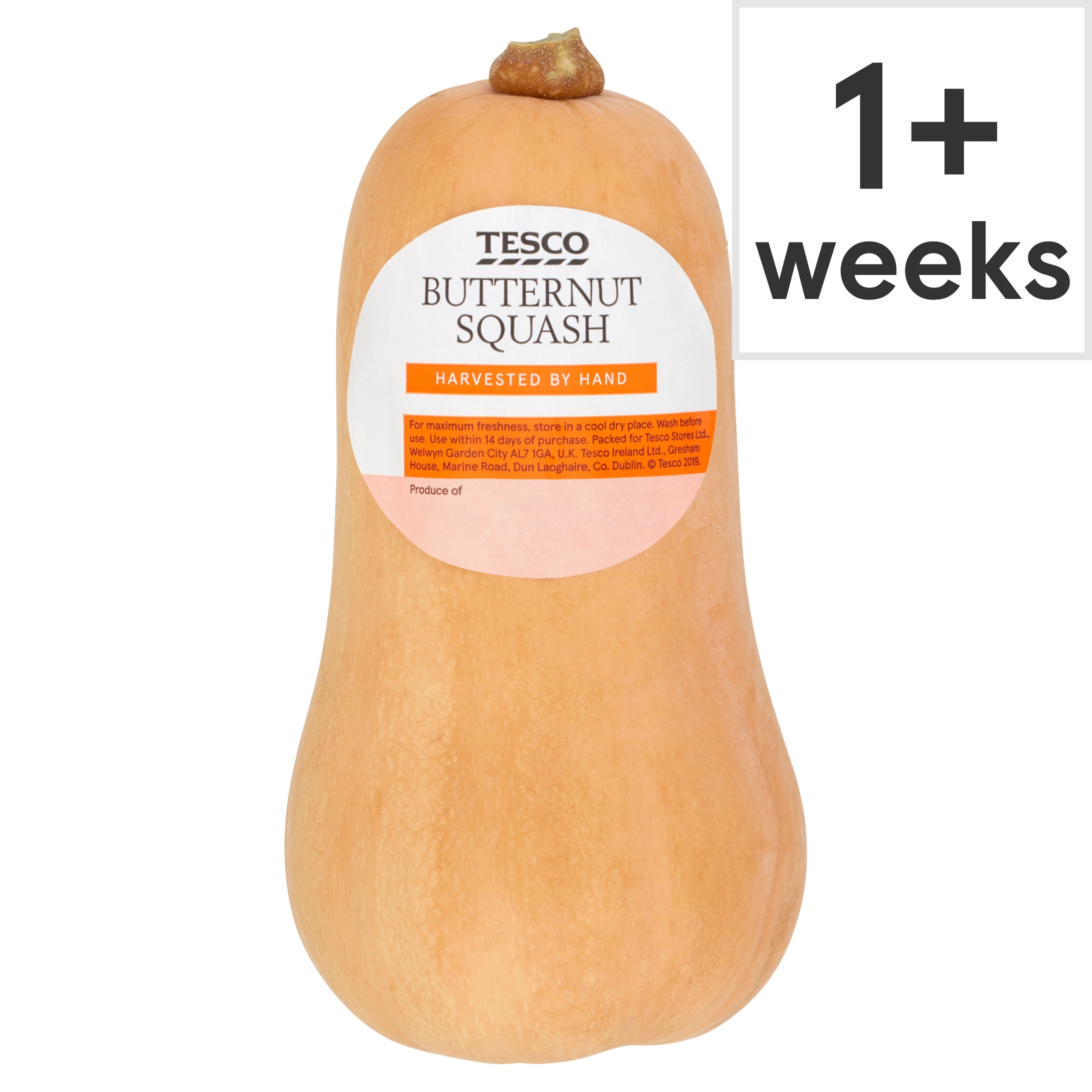 Tesco Butternut Squash Each