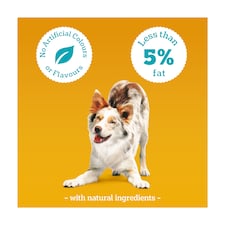 Pedigree Tasty Minis Adult Dog Treats Beef & Cheese 140g thumbnail 4