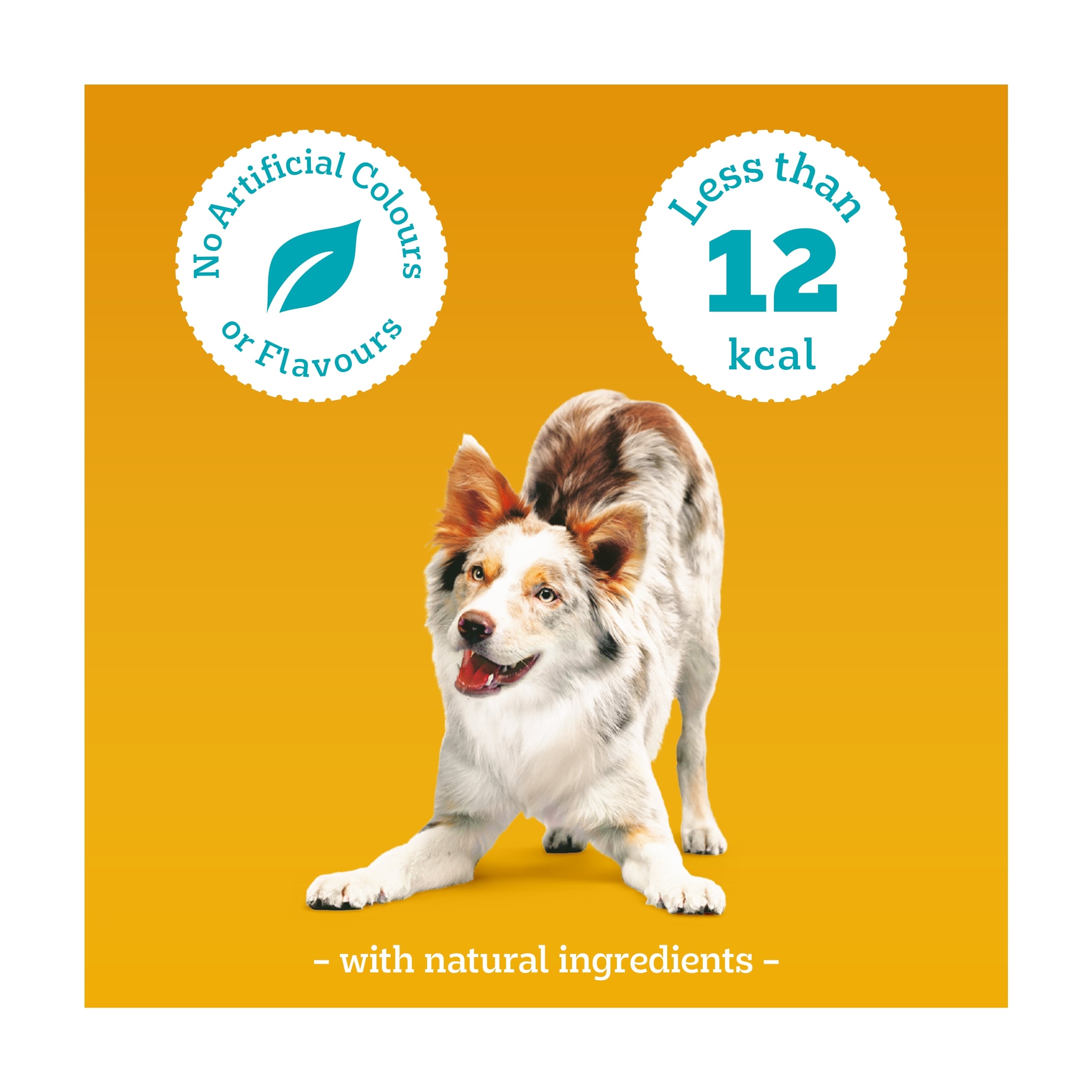 Pedigree Tasty Minis Adult Dog Treat Cubes Chicken & Duck 130g thumbnail 4