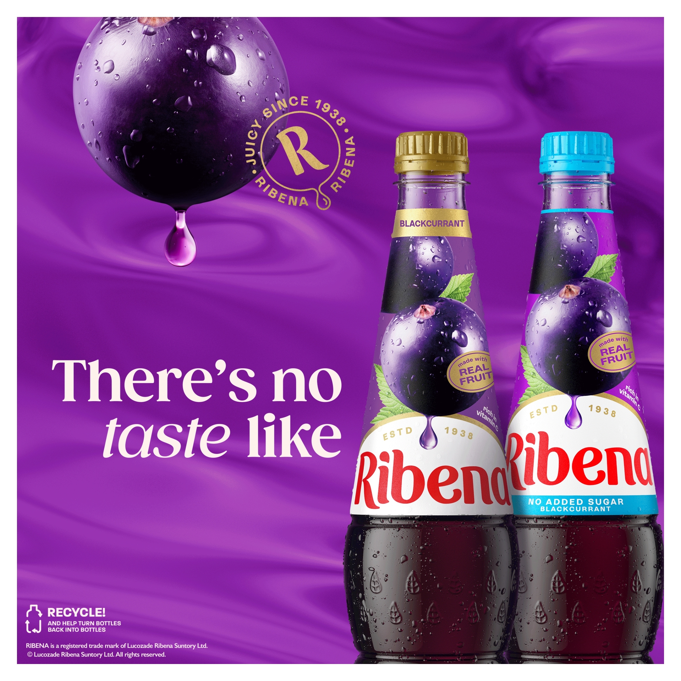 Ribena Blackcurrant Squash No Added Sugar 850ml thumbnail 2