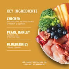 Lily's Kitchen Chicken Turkey Tin Casserole Dog Food 400G thumbnail 2