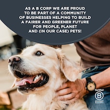 Encore Dog Chicken Breast & Rice 156G thumbnail 5